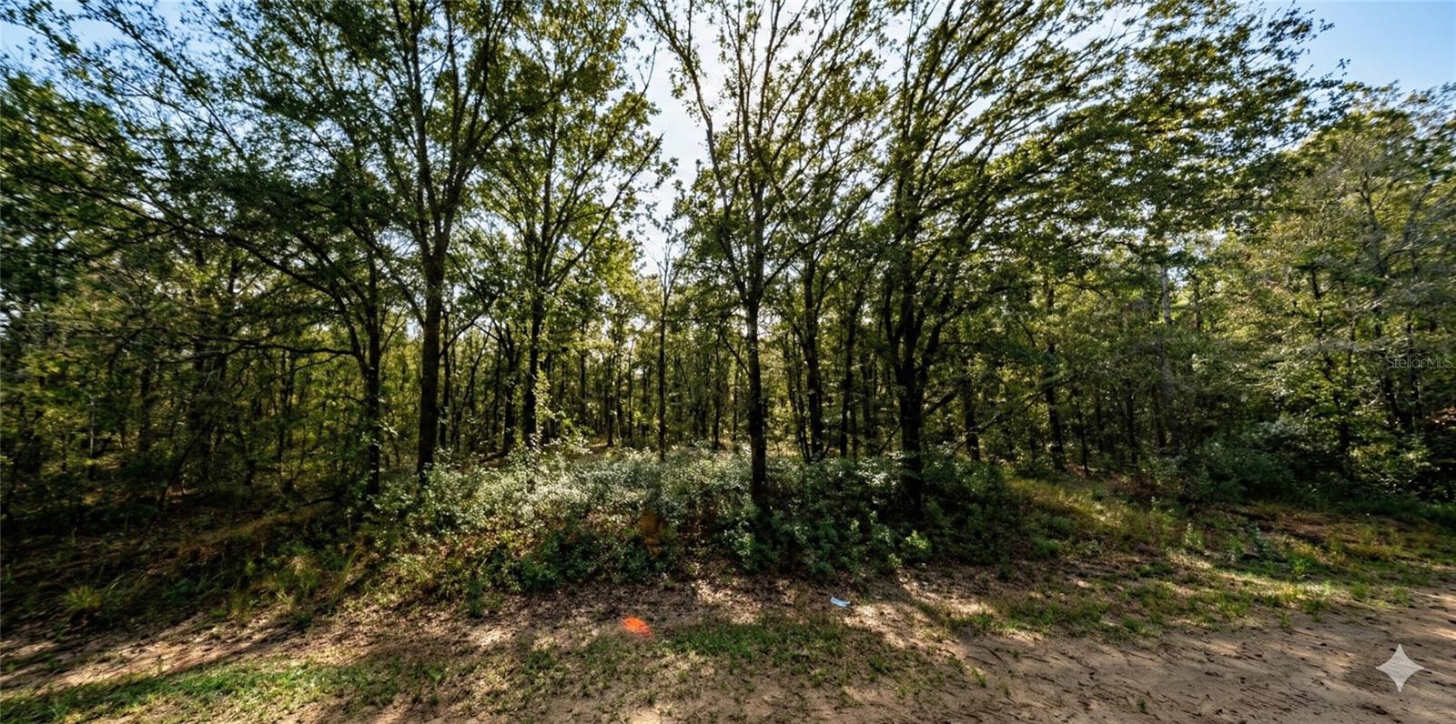 PRIME LOCATION 1.14-acre vacant lot in the rapidly growing Flagler Estates area of Hastings, FL! This expansive parcel is a dream setup off Cedar Ford Bld. and close poximity to Deep Creek for outdoor enthusiasts seeking space to spread out and enjoy Florida's natural playground. With no HOA, no CDD fees, and no deed restrictions, you have the freedom to create your ideal basecamp -- whether that's a site-built, modular, or mobile -manufactured home. Bring your RV's, ATV's, boats, kayaks and fishing rods there's plenty of room for storage, additional structures, workshops, or gear.

Enjoy the best of both worlds with peaceful, recreational living while still being within reach of St. Augustine, Jacksonville, and the beautiful Northeast Florida beaches.

Whether you're looking to build your outdoor retreat, weekend getaway, or long-term investment, this property is ready for your vision. Secure your slice of Florida freedom today!