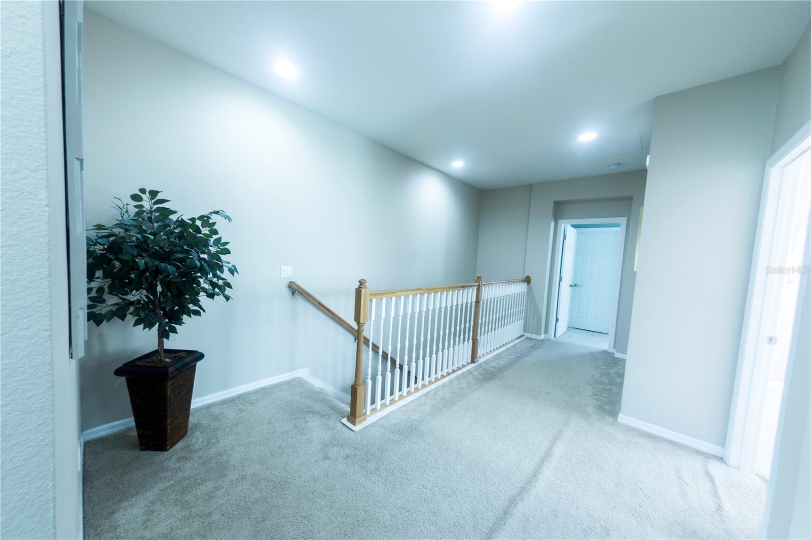 MAGNOLIA POINTE PH 1 - Residential