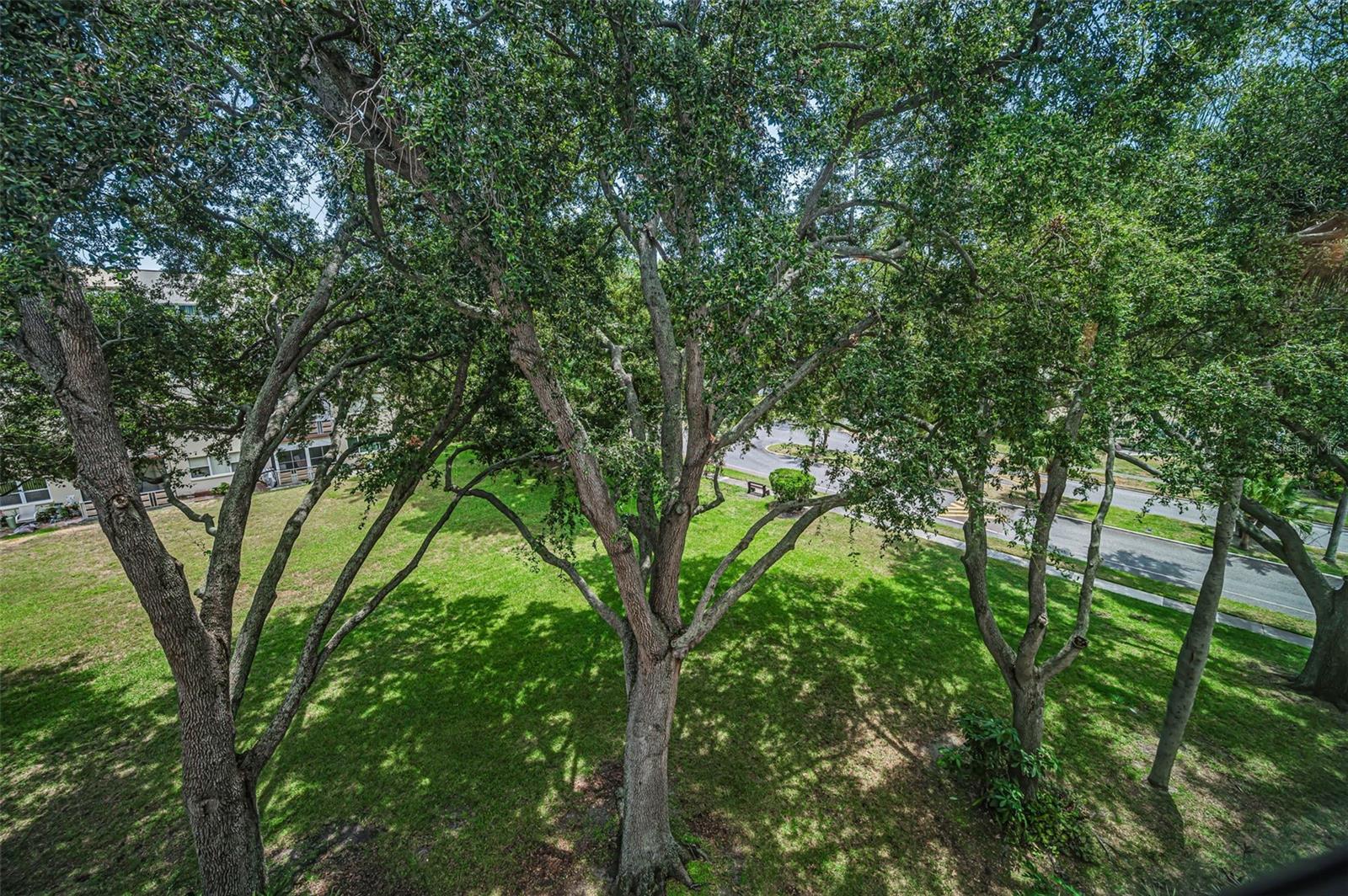 FIVE TOWNS OF ST PETE - Residential