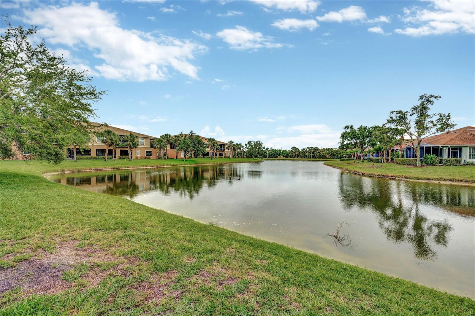 PALMA SOLA TRACE - Residential