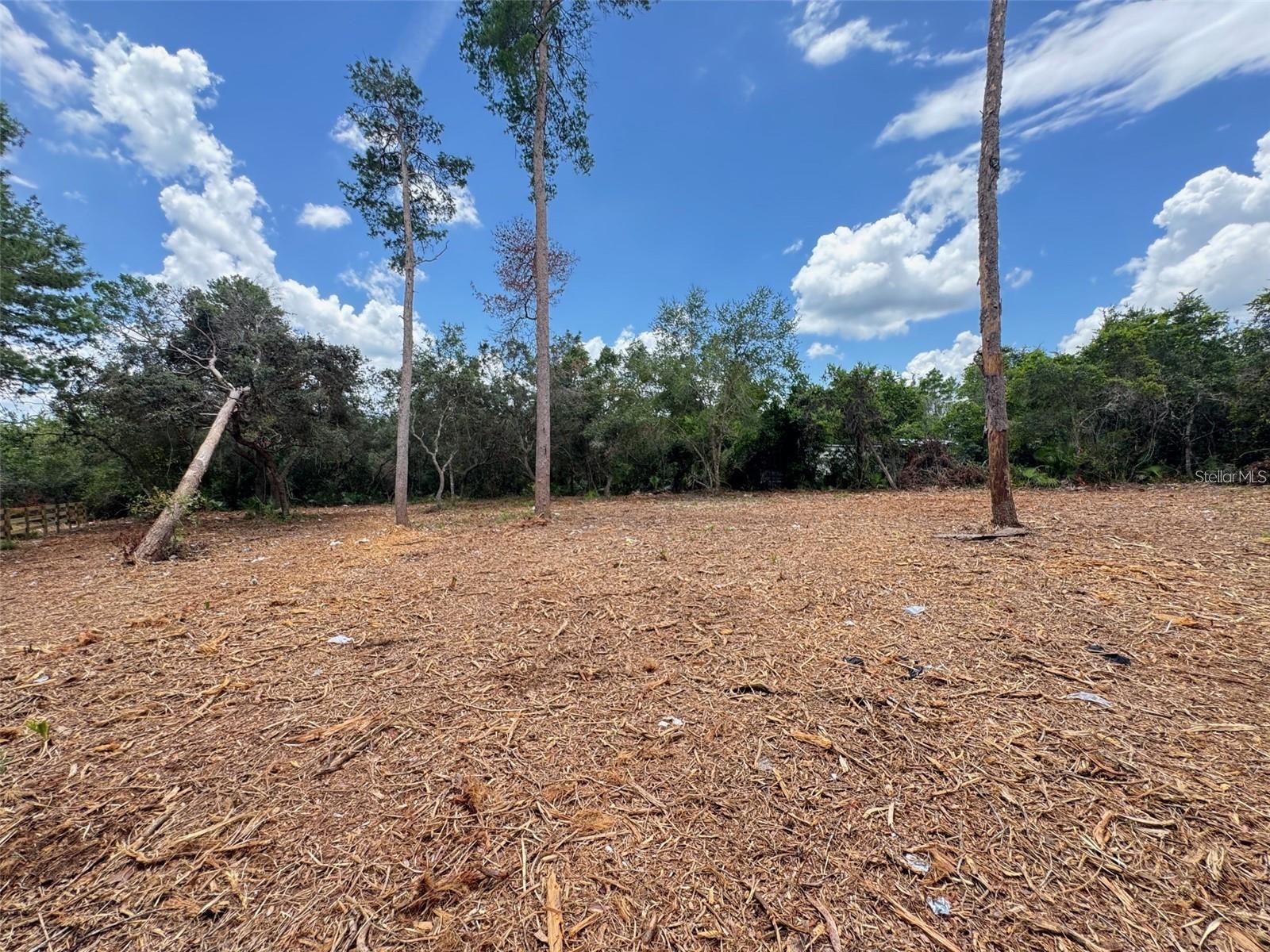 LAKE KATHRYN HEIGHTS REP - Land