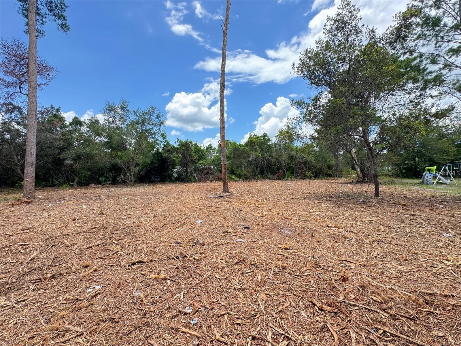 LAKE KATHRYN HEIGHTS REP - Land