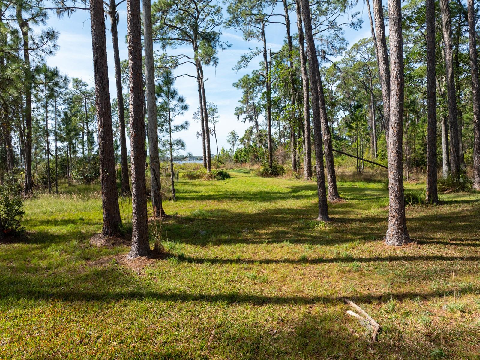 ROYAL RANCH ESTATES - Residential
