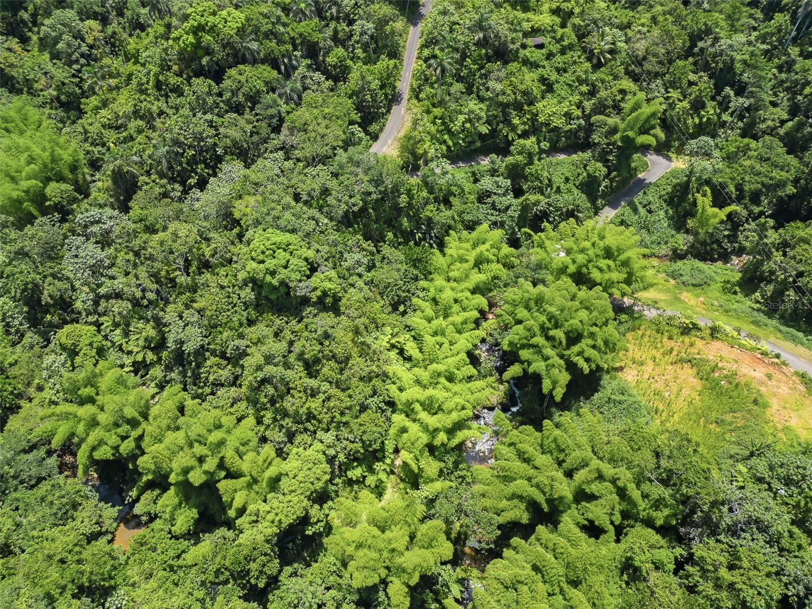 Rare 2-acre (1.94) agricultural farm in the fertile mountains of Las Marías, Puerto Rico — the island's renowned sweet-orange ("china dulce") region. The Río Mayagüecillo runs through the property, a true year-round attraction and natural water source. Mostly level terrain with gentle slopes, cool mountain nights, and rich, productive soil. Direct access off Carr. 124, Km 1.3, Bo. Buena Vista. Zoned A-P (Agricultural Productive / SREP-A): ideal for orchards, agro-tourism, agro-lodging, bed & breakfast, short-term eco-lodging, livestock, apiaries, aquaculture, renewable energy, and a 1–2 family residence. Build your homestead, agritourism retreat, or working farm where the land does the work for you. Income potential + lifestyle in one of Puerto Rico's most agriculturally rich towns. Priced to sell at $70,000. Bring your vision — schedule your private showing today.