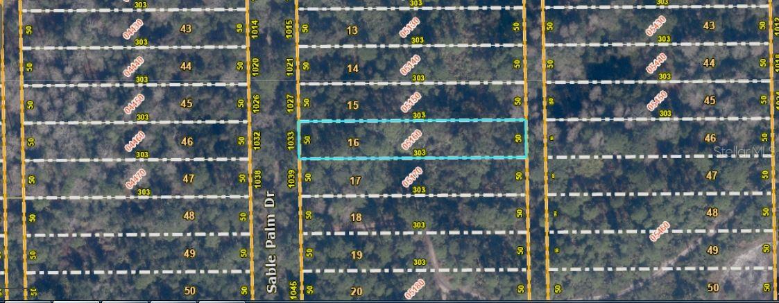 Vacant land available for sale at 1033 Sable Palm Dr., Christmas, FL 32709. " Zoning A-2" This 0.35-acre lot offers a great opportunity for buyers looking to own land in a quiet, rural area of East Orange County. this property is ideal for future investment or recreational use.Note: buyers I emphasize the importance of conducting thorough due diligence to ensure that the property meets your expectations and requirements.