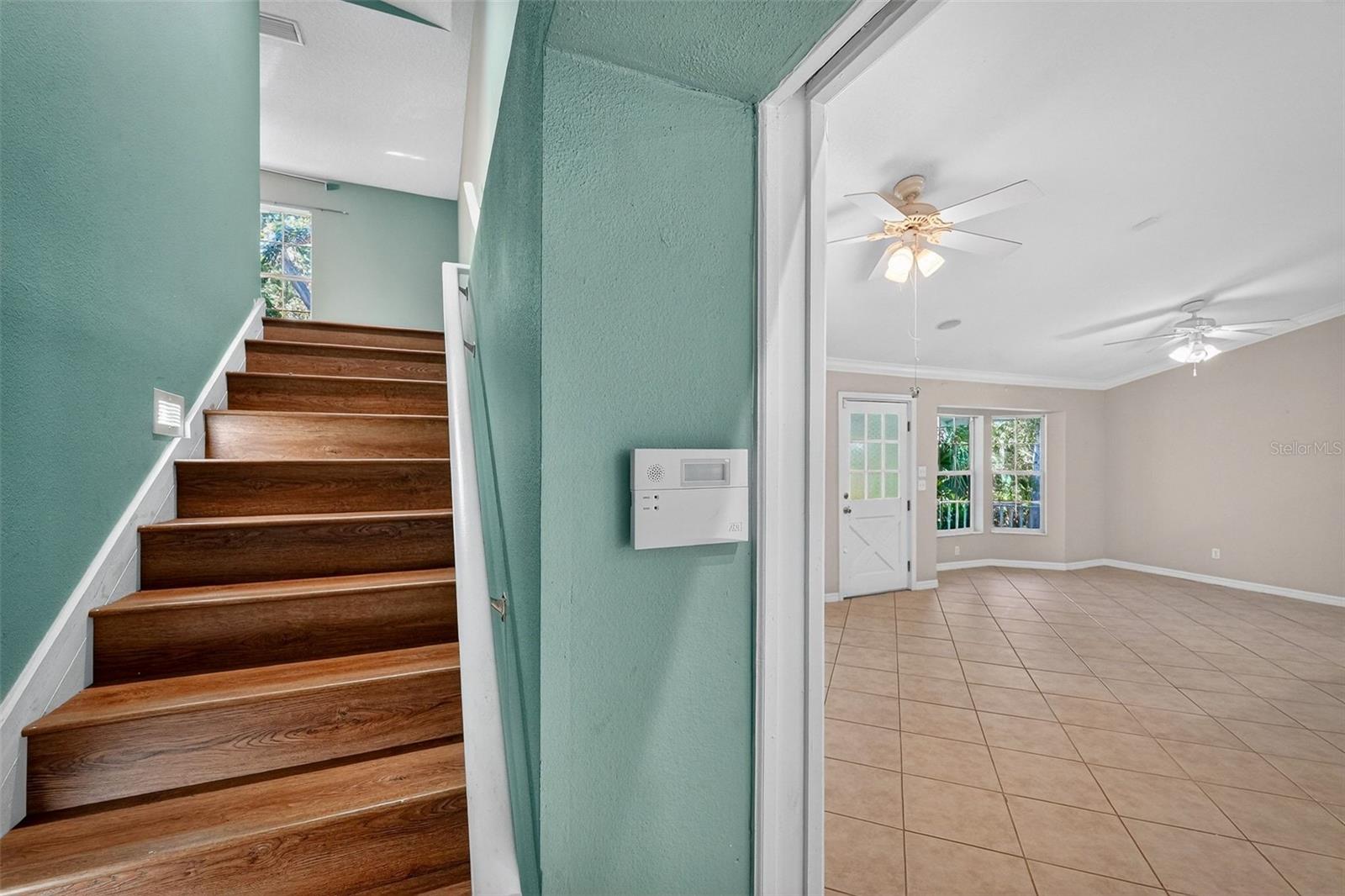 CEDAR STREET - Residential