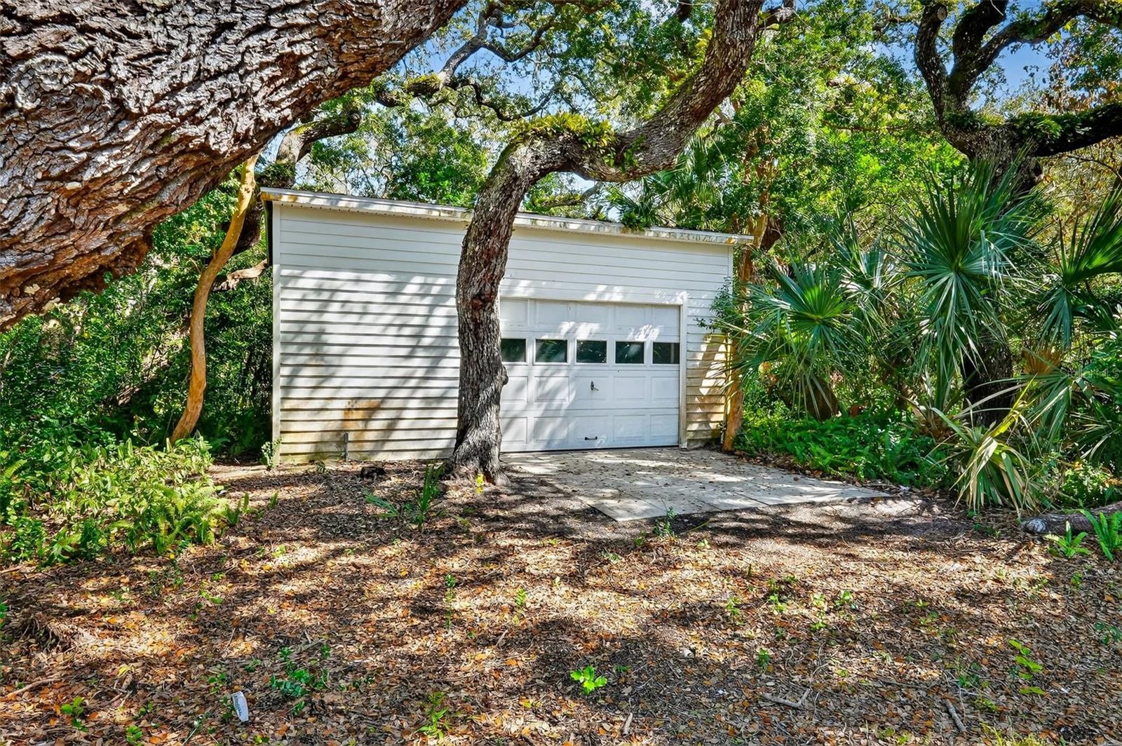 CEDAR STREET - Residential