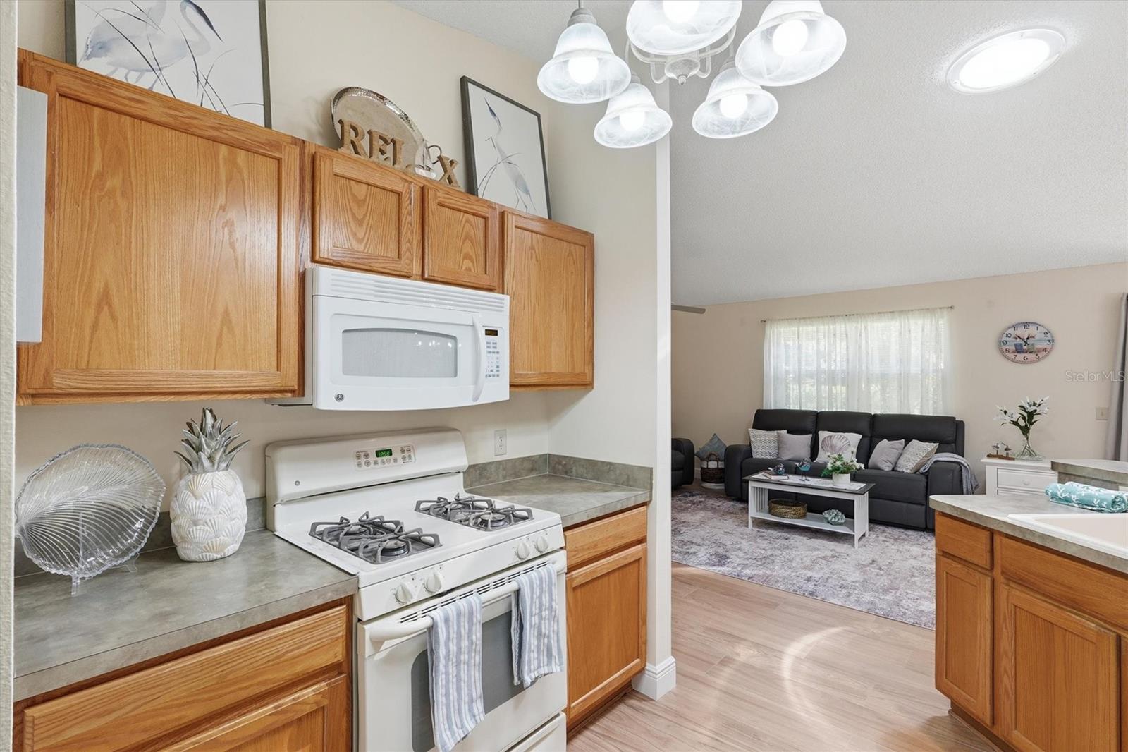 VILLAGES OF SUMTER SOUTHERN OAKS VILLAS - Residential