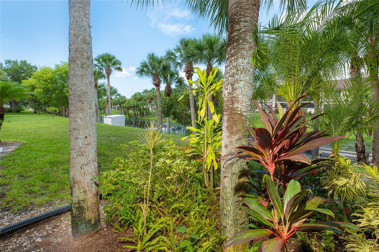 OAK FORREST - Residential