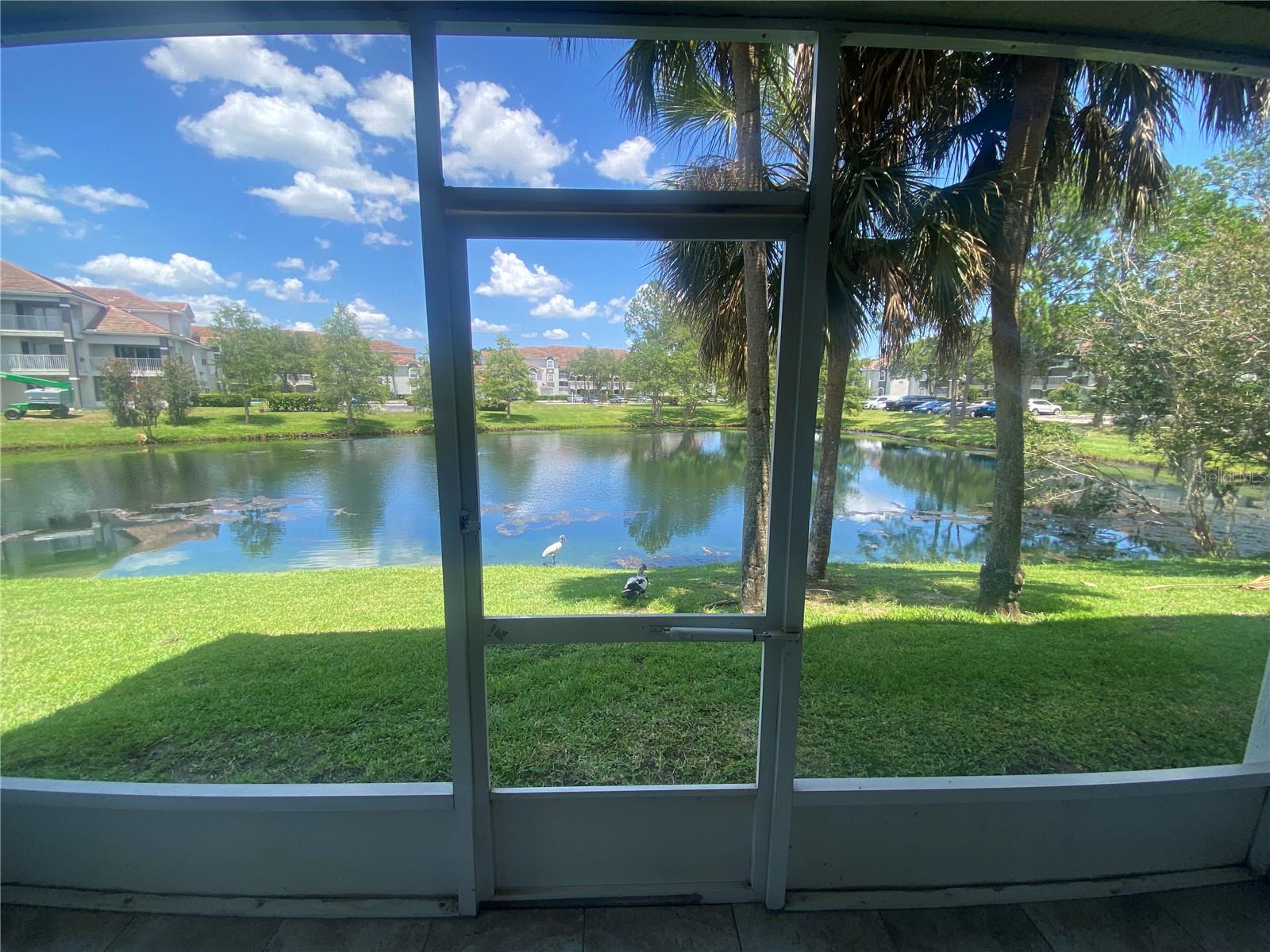 AUDUBON VLS/HUNTERS CRK CONDO - Residential