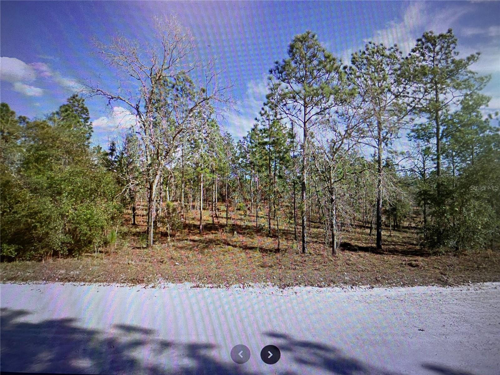 Single family home or mobile home allowed. Large 1 acre parcel in a beautiful location between the towns of Williston, Bronson, & Morriston. Just a few miles into town with Winn-Dixie, Walgreens, gas station, and several stores and restaurants. Plenty of the great outdoors with recreation, parks, reserve land nearby. Electric pole is at the street and ready for hookup. No homeowners association. Located just east of the intersection of where SE 23rd Place and SE 150th Ave. (The 2301 street # is for mapping purposes only and not yet assigned by the county.) GPS coordinates = 29.298936, -82.522351 .  Lot 15 directly to the south is also for sale by the same owners. Let's make a deal.