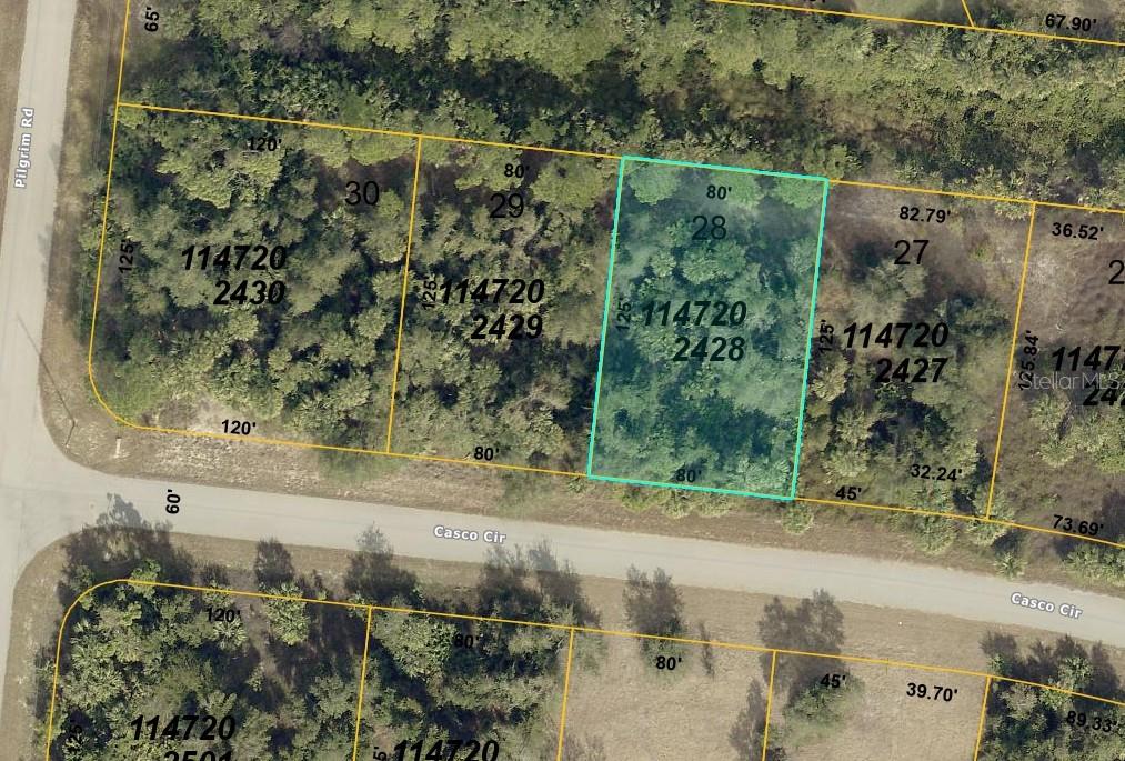 Prime development opportunity! This vacant parcel has been recently rezoned to Activity Center 10 (AC-10) and is strategically located in the southeast corner of the City along the Charlotte County border, just minutes from Interstate 75.

The AC-10 designation supports a wide range of commercial and industrial uses, along with limited residential opportunities, offering exceptional flexibility for investors and developers. Environmental conservation and government uses — including public schools — are also permitted within this zoning classification.

With strong regional access, proximity to I-75, and positioning near the Charlotte County line, this property presents outstanding potential for future growth and development in an expanding corridor. Don’t miss this opportunity to secure a versatile parcel in a high-demand area.
