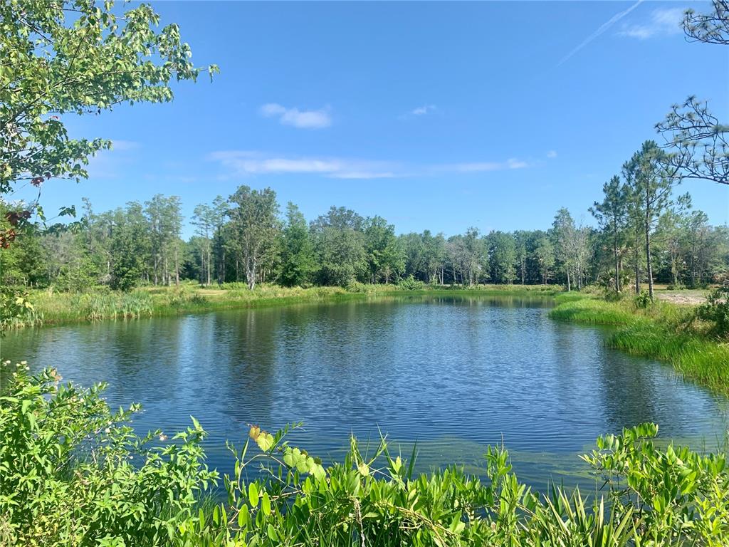 BROWN WOOD ACRES - Land