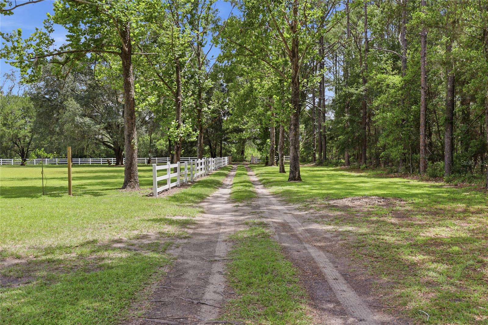 NOT IN SUBDIVISION - Residential