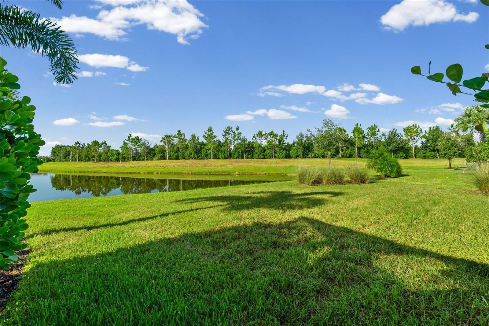 DEL WEBB PH V SUBPH 5A, 5B & 5C - Residential