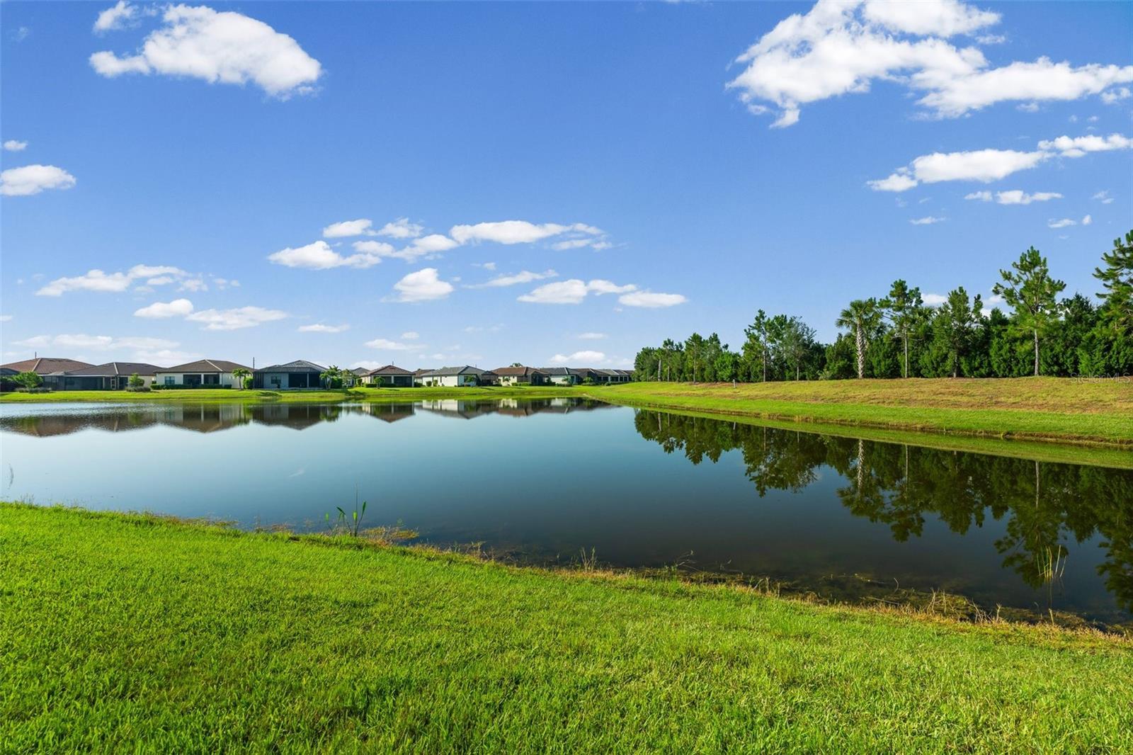 DEL WEBB PH V SUBPH 5A, 5B & 5C - Residential