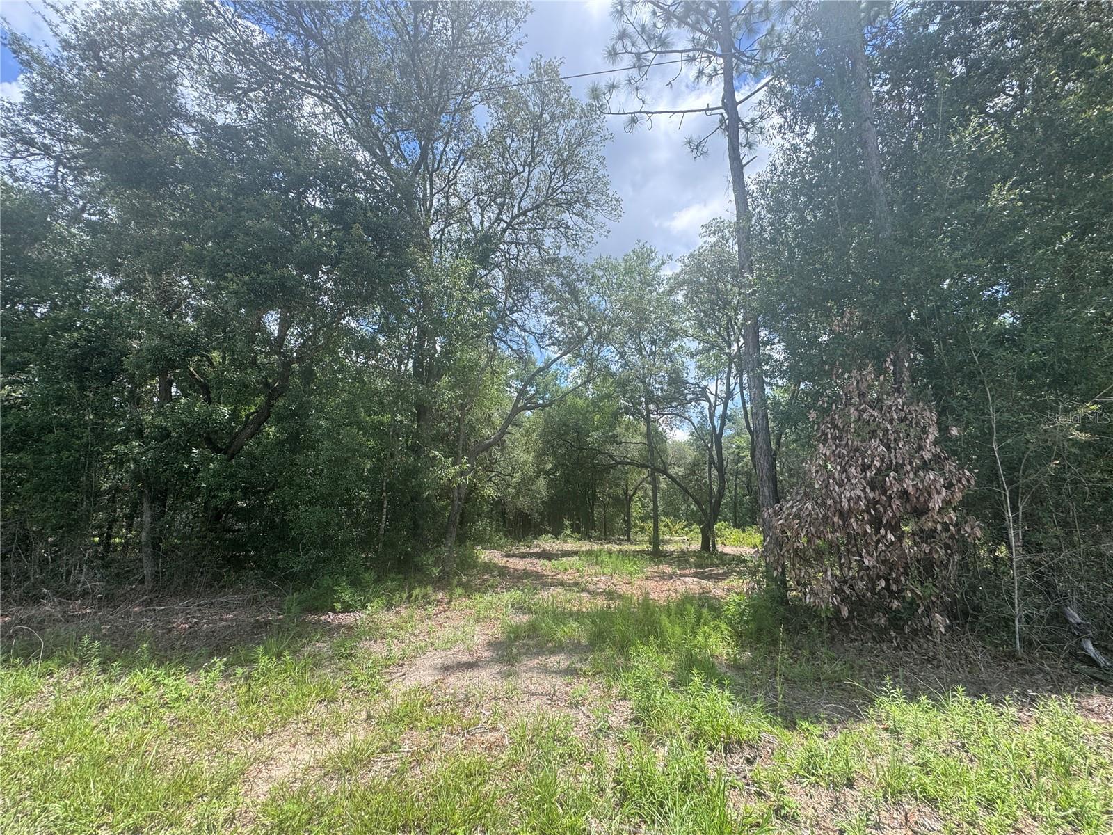 WILLISTON HIGHLANDS 1 ACRE BUILDING LOT! Build your dream home on this beautiful 1 acre parcel in Levy County! Zoned Agricultural/Rural Residential A?RR with no HOA and no flood zone, this property offers the freedom and flexibility to create the lifestyle you've been looking for. Enjoy the privacy of rural living while still being within easy reach of nearby amenities, outdoor recreation, and the Gulf Coast. Whether you're planning to build now or invest for the future, this is an excellent opportunity.