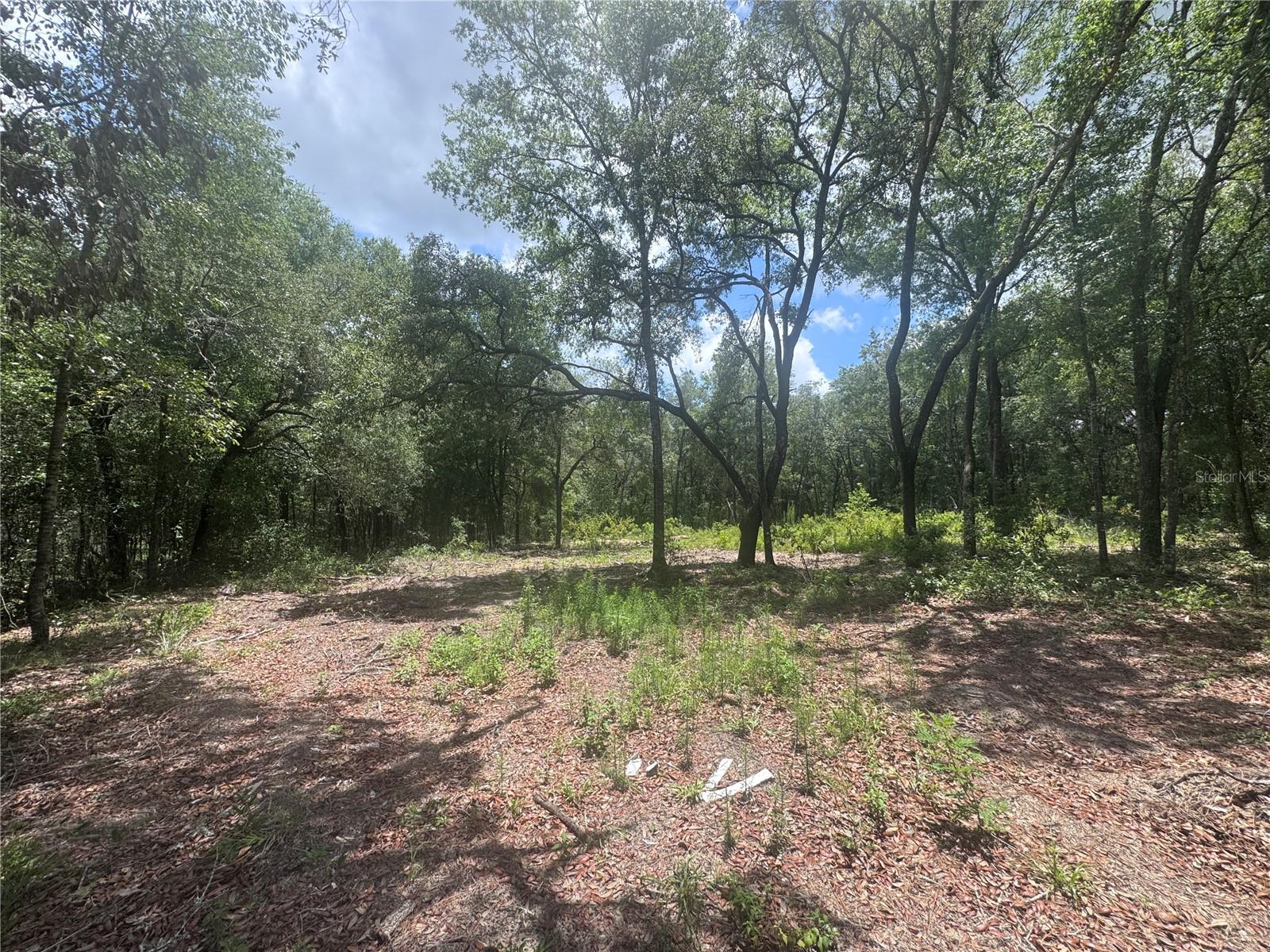 WILLISTON HIGHLANDS UNIT 12 - Land