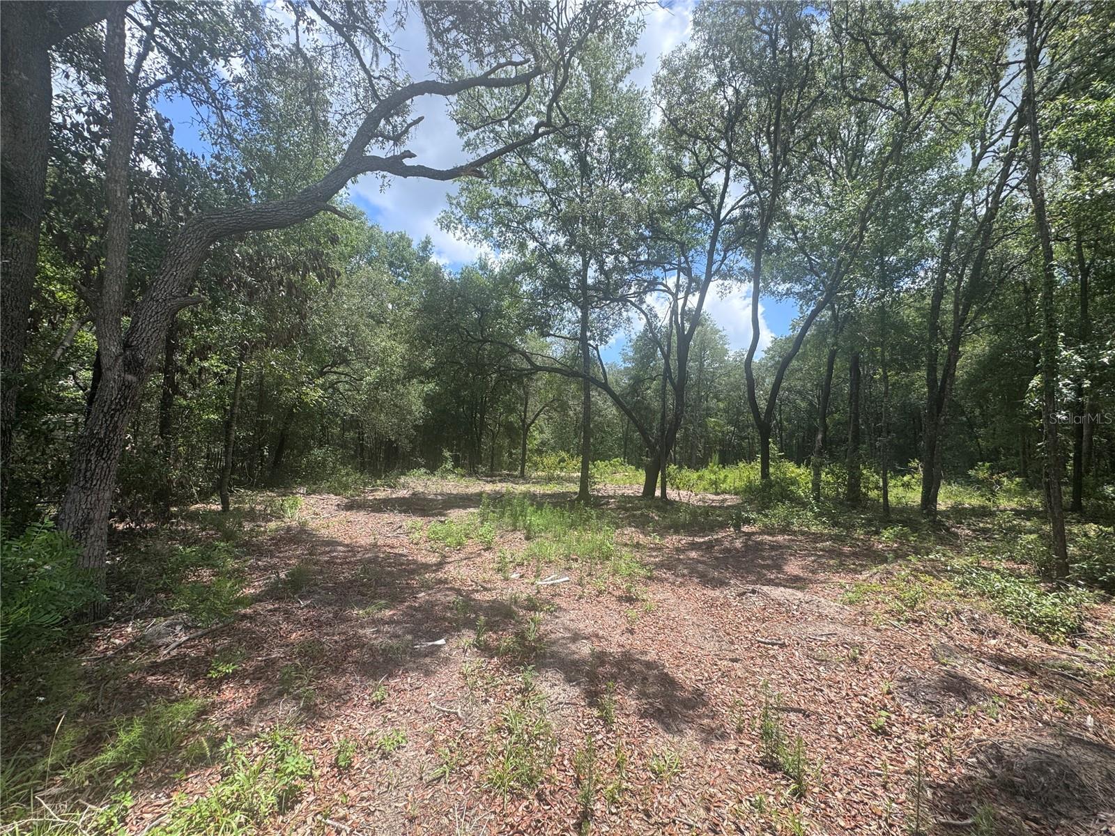 WILLISTON HIGHLANDS UNIT 12 - Land
