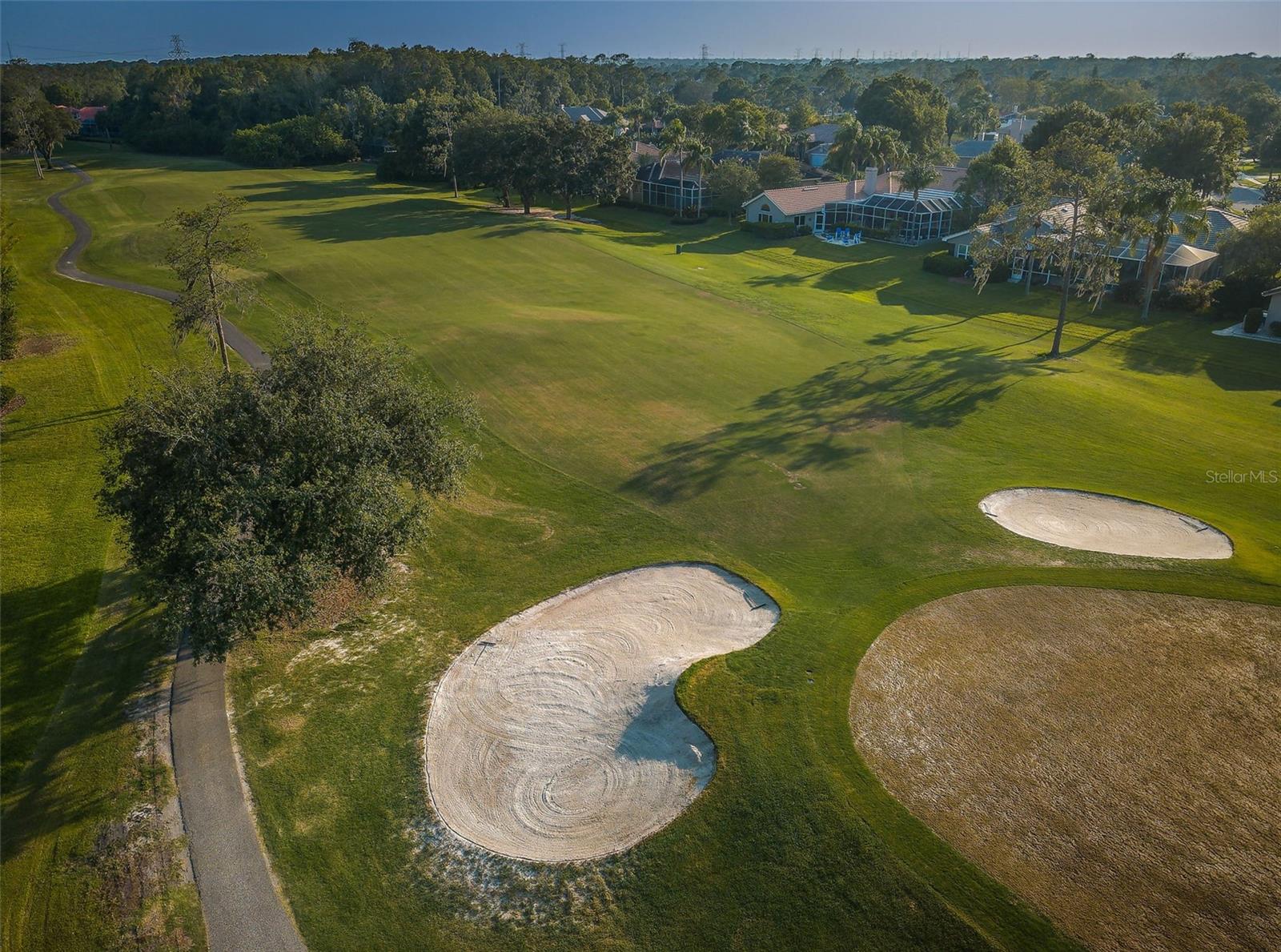 EAST LAKE WOODLANDS CONDO - Residential