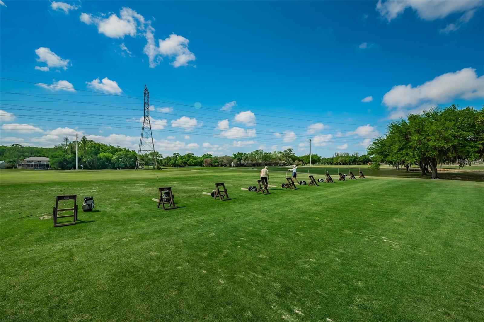 EAST LAKE WOODLANDS CONDO - Residential