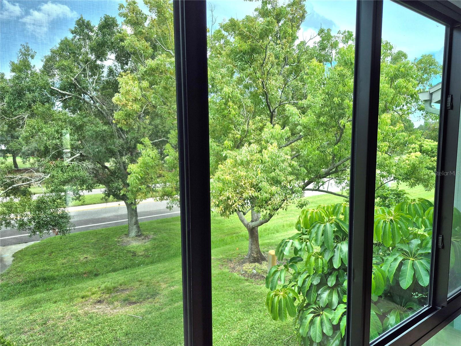 EAST LAKE WOODLANDS CONDO - Residential