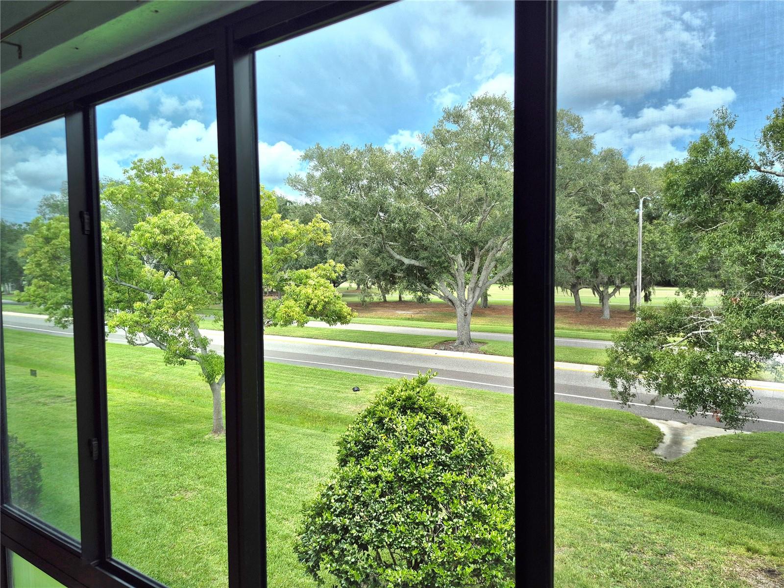EAST LAKE WOODLANDS CONDO - Residential