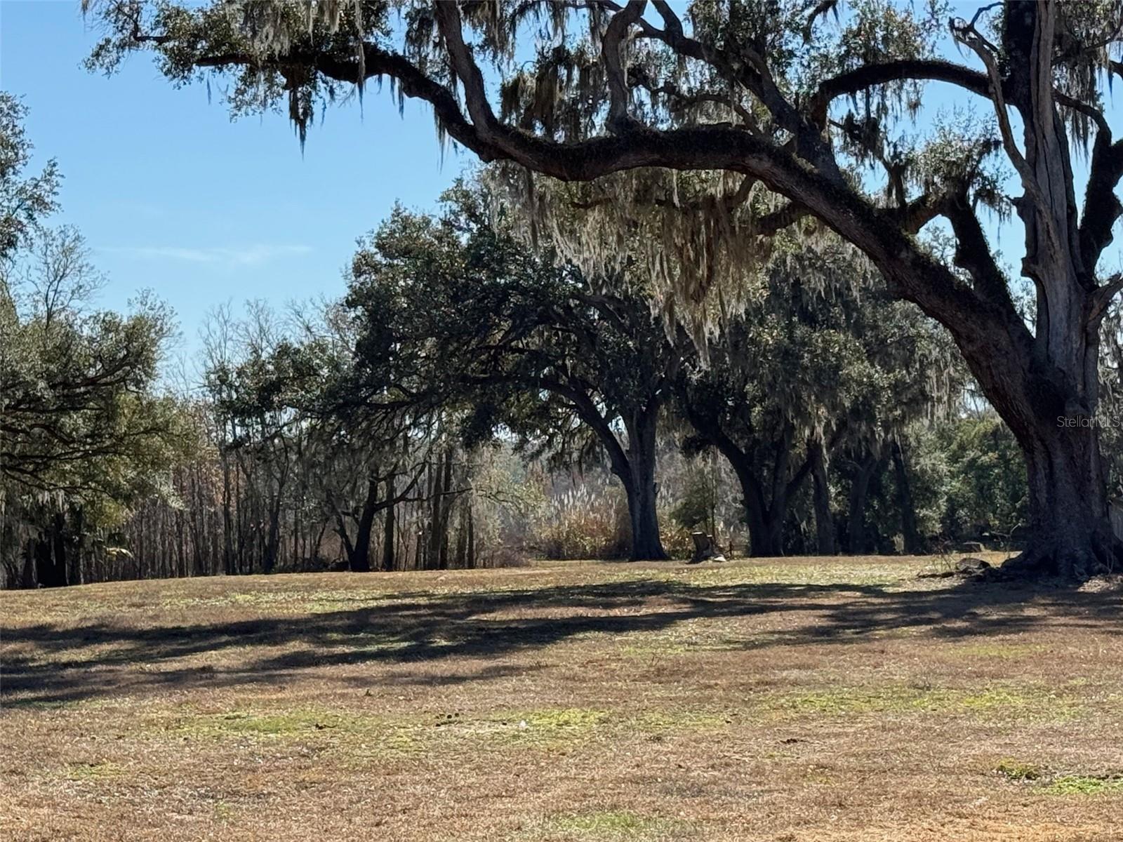 DADE CITY - Land