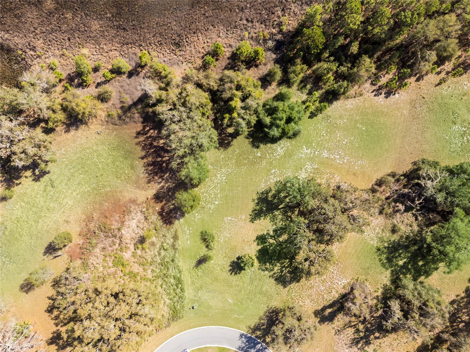 BLUE SPRING RESERVE - Land