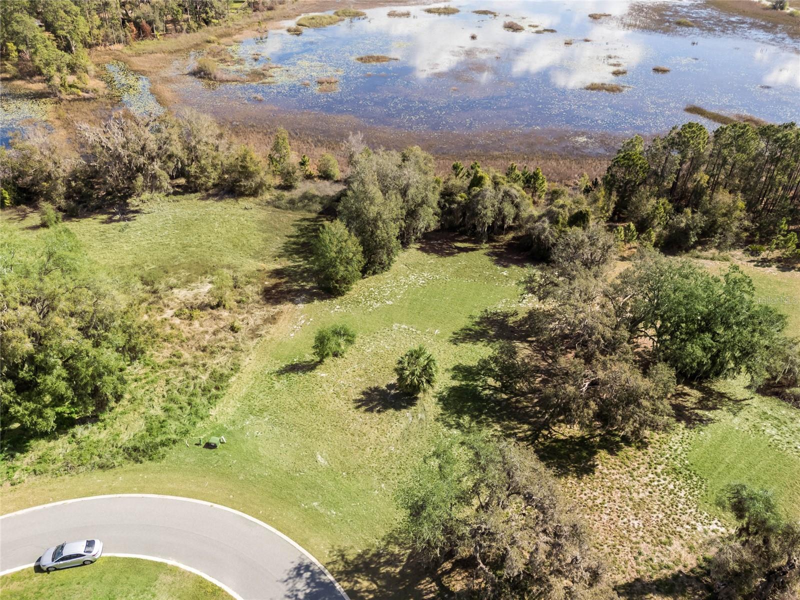 BLUE SPRING RESERVE - Land