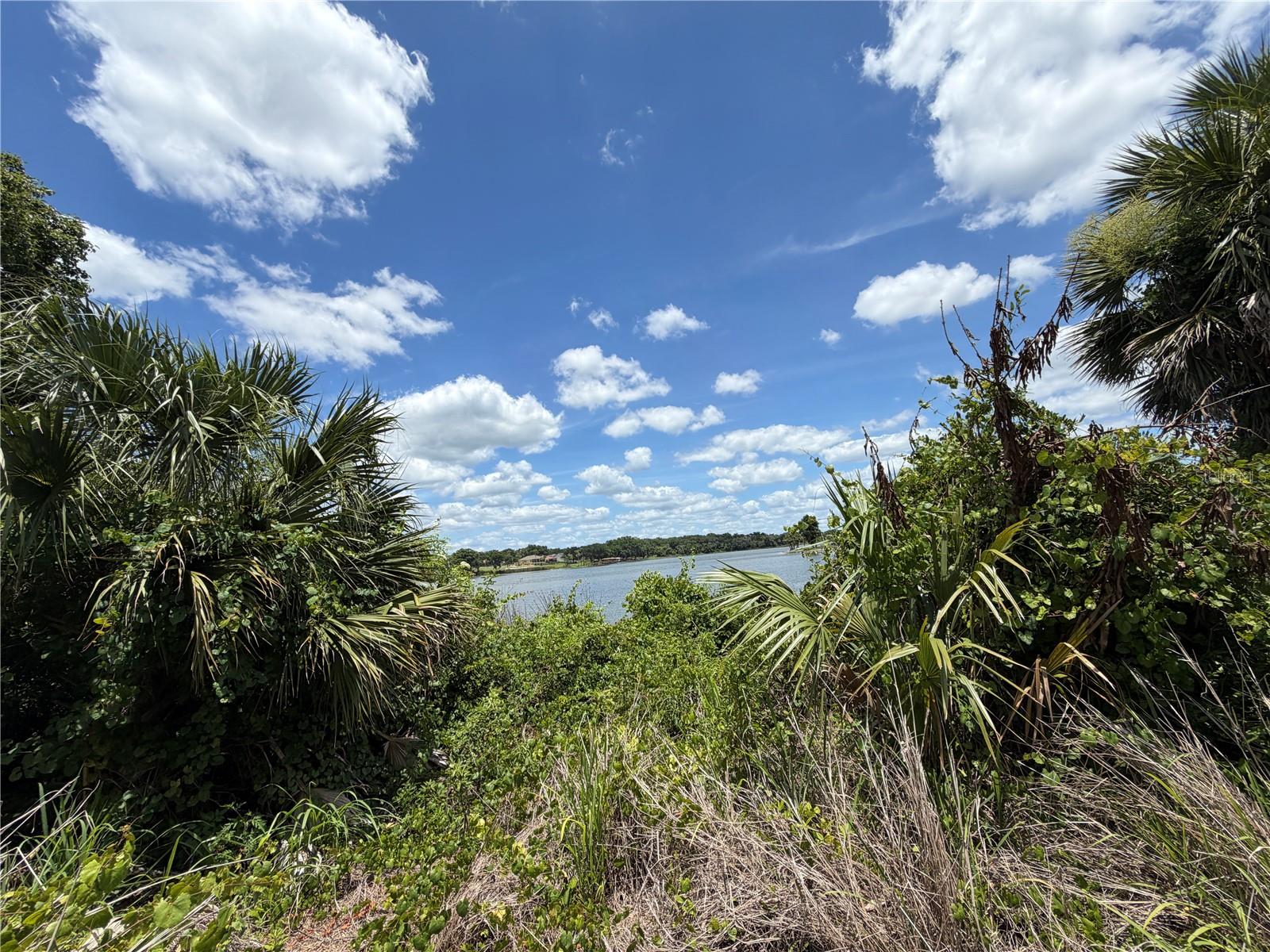 UMATILLA MITCHENORS ADD - Land