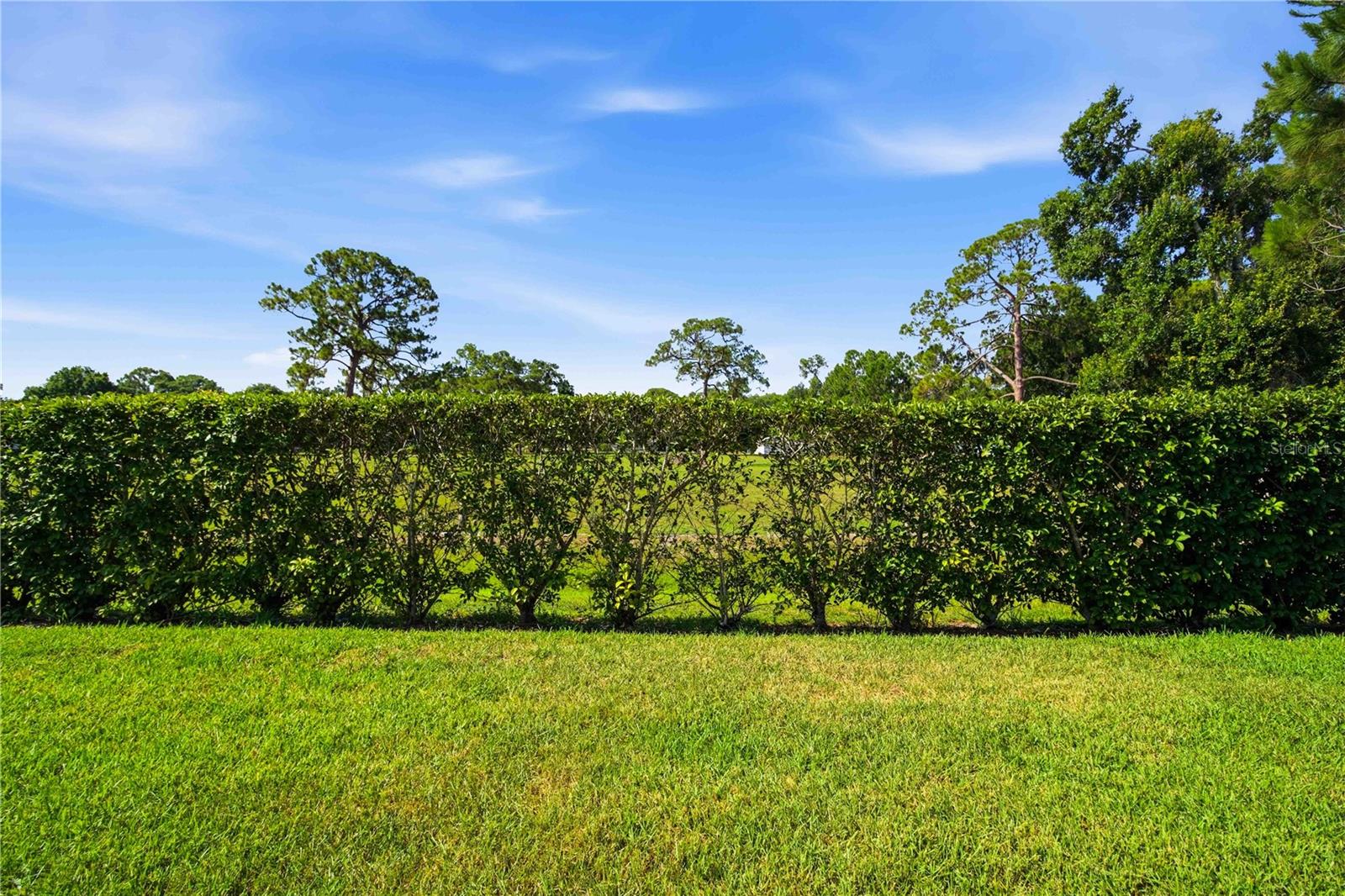 AMBERLY PH II - Residential Lease