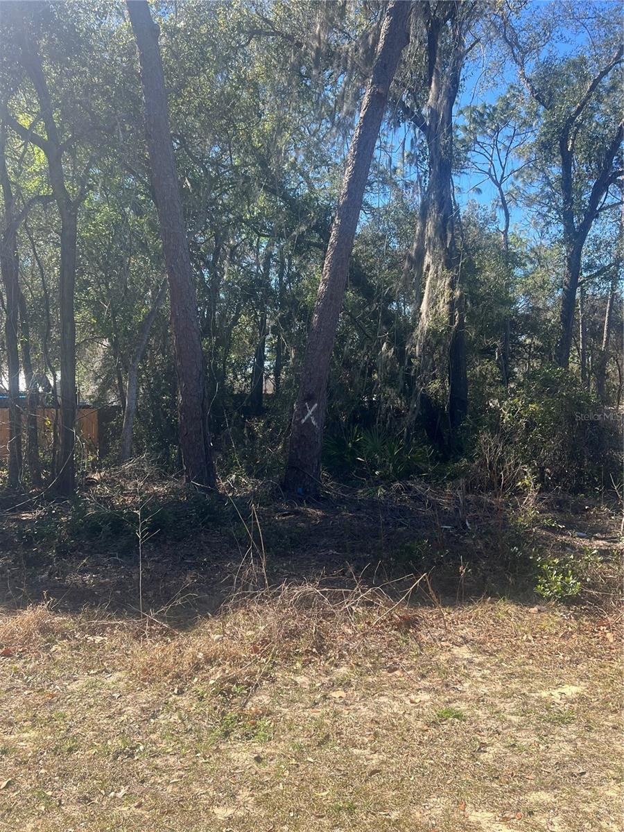 No HOA or CDD.  Bring your builder.  Buyer must do due diligence on utilities available during due diligence period.