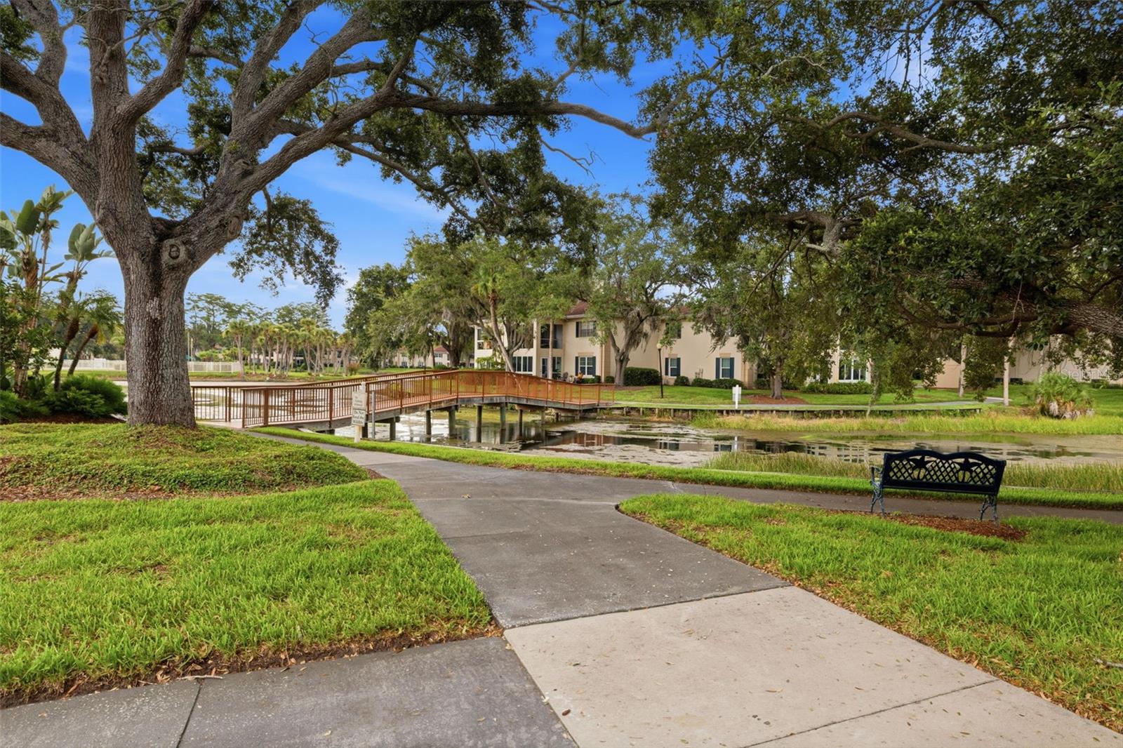 THE GRAND AT OLDE CARROLLWOOD - Residential