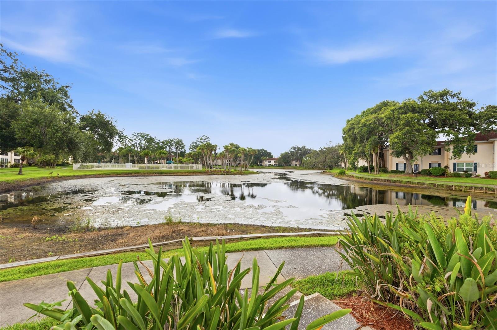 THE GRAND AT OLDE CARROLLWOOD - Residential