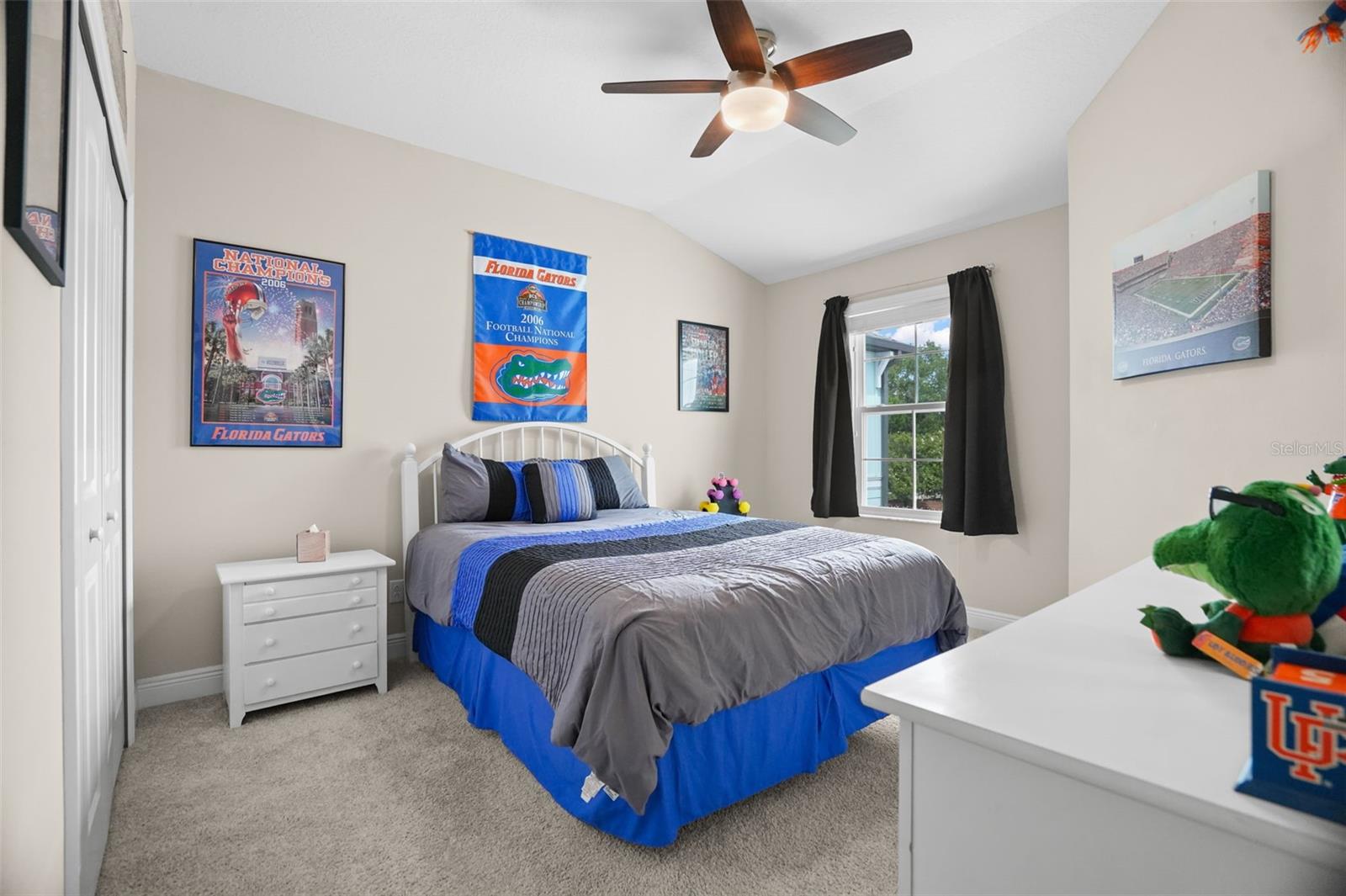 TOWNS AT BELLEAIR GROVE - Residential