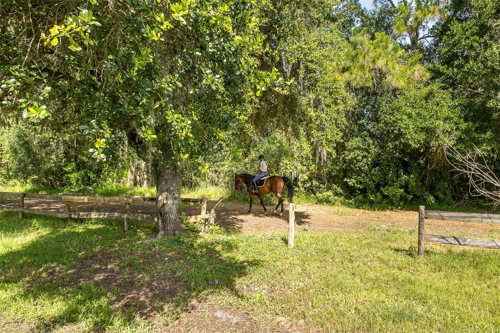 HAWKS LANDING - Residential