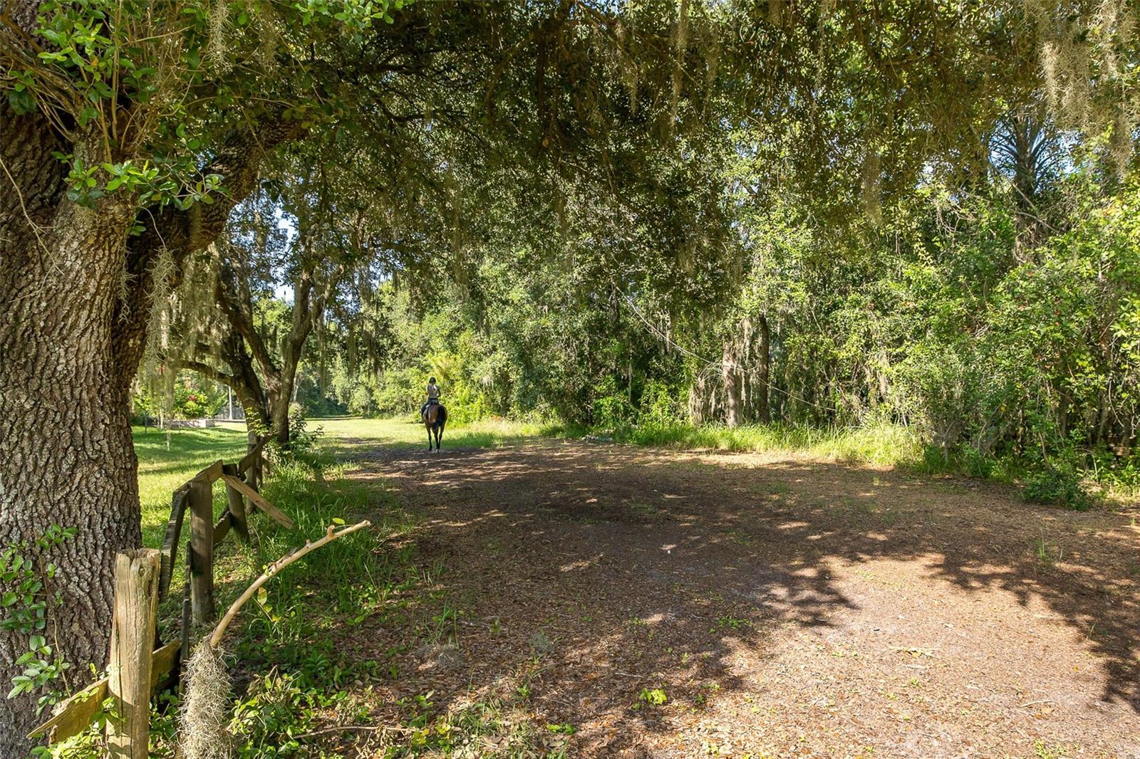 HAWKS LANDING - Residential