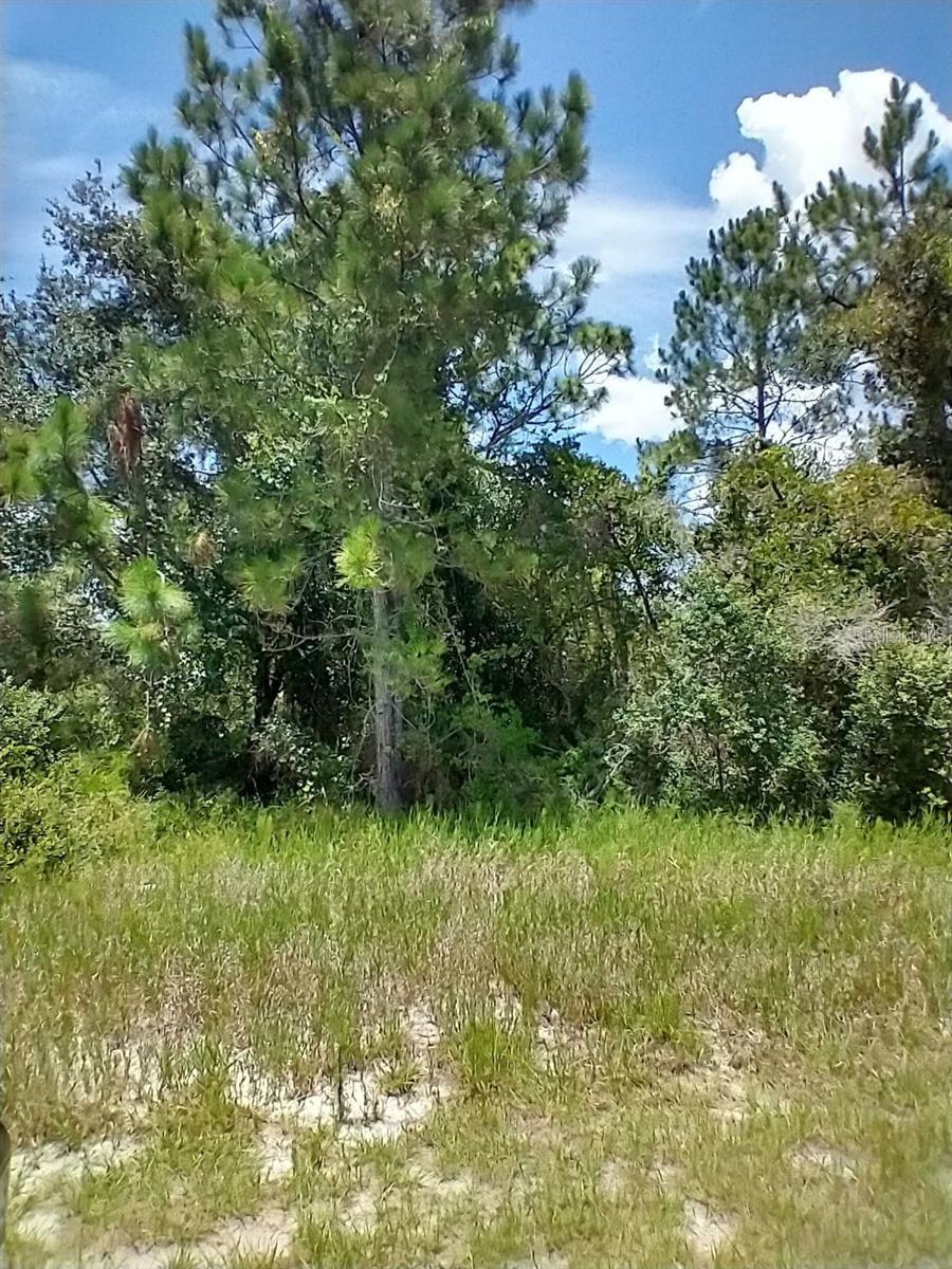 This property is just the ideal place for you to build your dream home. Land that may be improved or developed, but is not currently in use and has no structures. Buyer to confirm HOA fees and restrictions. Great investment opportunity. SELLERS ARE MOTIVATED. FINANCE AVAILABLE. Please DON'T HESITATE to contact me
