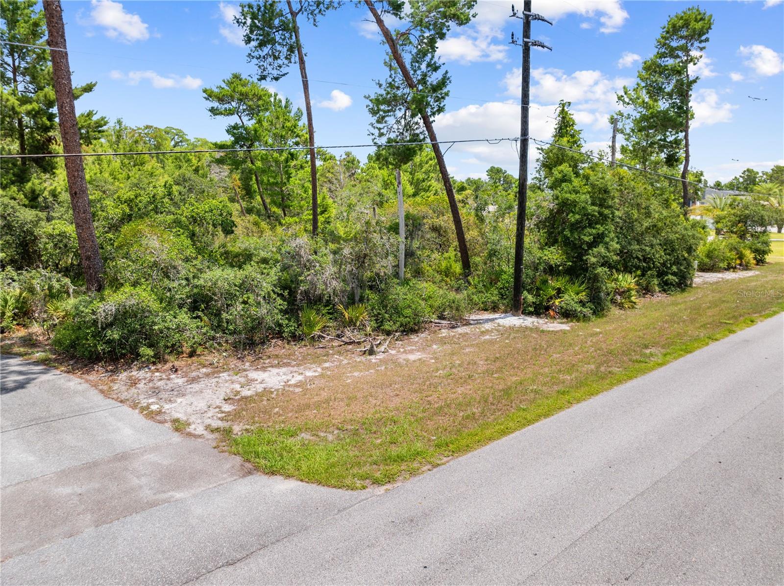 COUNTRY MEADOW WEST UNIT 1 - Land