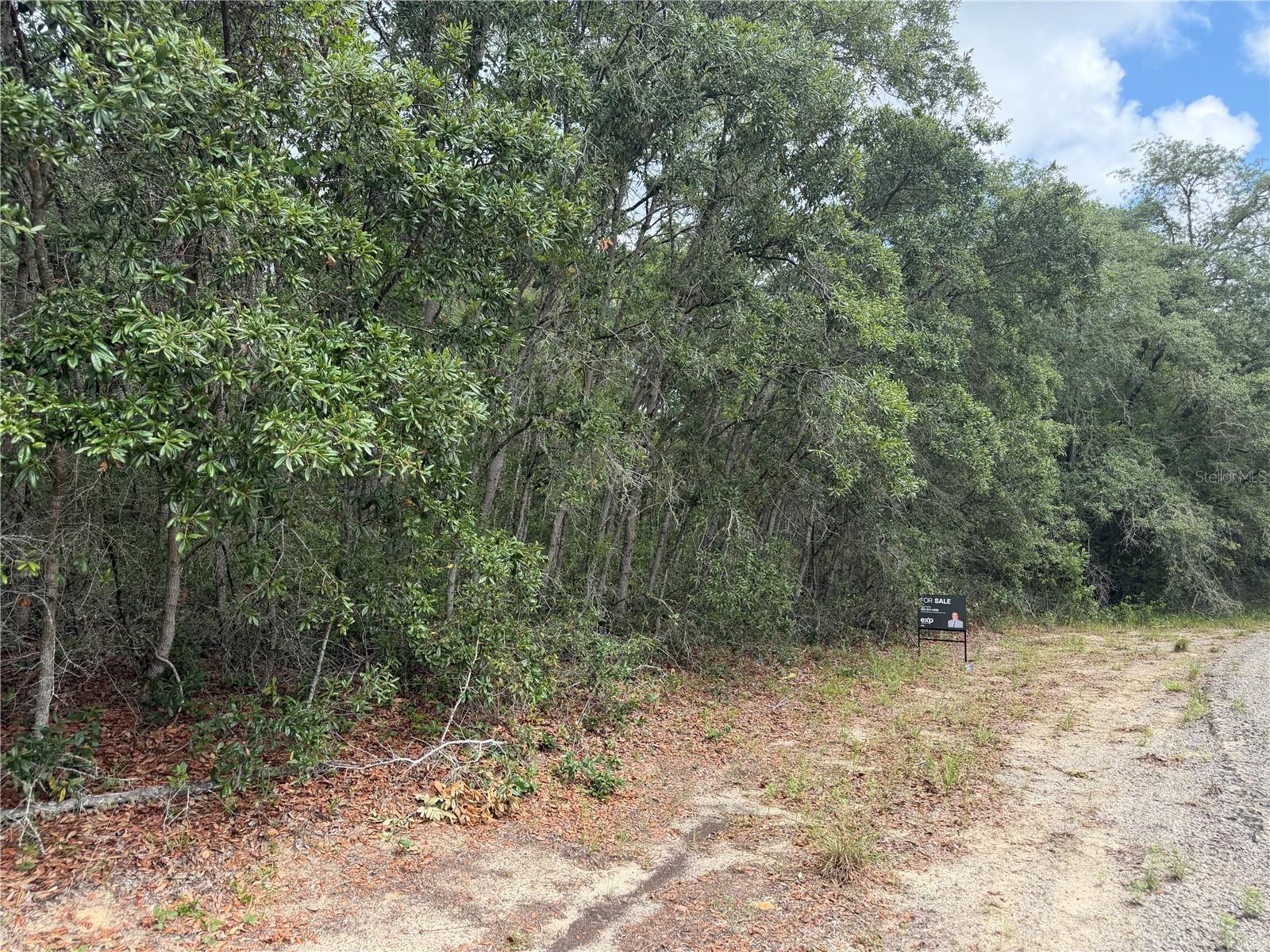 CITRUS SPGS UNIT 19 - Land