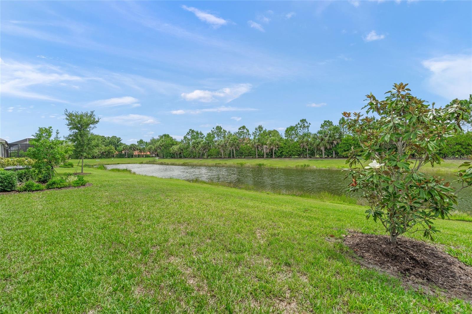 SUNRISE PRESERVE AT PALMER RANCH - Residential