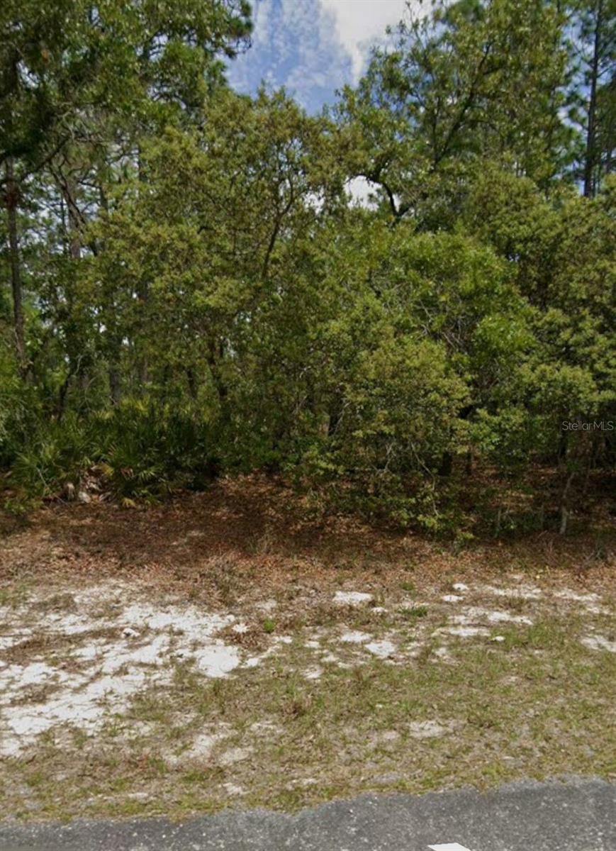 Build your Florida dream on this prime residential lot located in the peaceful, serene community of Citrus Springs. Situated on a quite
street , this .23 acre parcel is surrounded by newer homes and offers the perfect canvas for a custom residence with no mandatory
HOA fees. Outdoor enthusiasts will love the proximity to the crystal-clear waters of Rainbow Springs State Park, world-class golf
courses and the Withlacoochee State Trail. With no timeframe required to build, this property represents a fantastic opportunity for
an investment or a future home site in a growing area known for its top rated schools and natural beauty.
