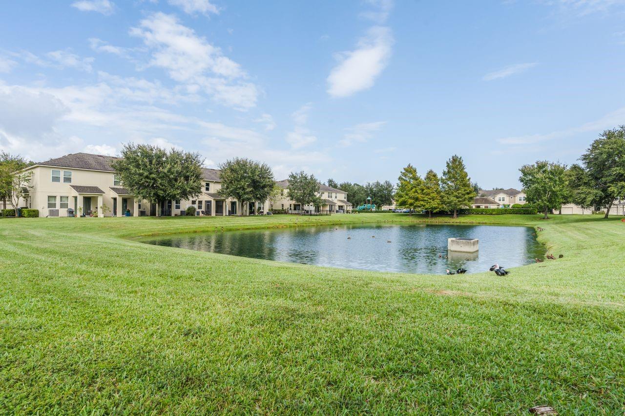 The townhome that you have been waiting for! Enjoy your morning cup of coffee watching the ducks swimming in the pond. Beautifully updated 3 bedroom/2.5 bath waterfront townhome with tons of natural light. Updated kitchen with stainless appliances and breakfast bar overlooking the family room. Upstairs you will find 3 spacious Bedrooms, including the Master Bedroom complete with Walk-In Closet and access to the Master Bathroom which features Granite Countertops and a large walk-in shower with dual showerheads. Washer & Dryer are easily accessible upstairs as well, so you won’t have to go up & down the stairs when it’s time to do laundry! Beautiful screened porch with no rear neighbors! New roof 2023! 1 car garage. Amazing location with easy access to UCF Research center, shopping, restaurants and highways! The community offers a playground, swimming pool, and carefree living that includes all exterior maintenance!