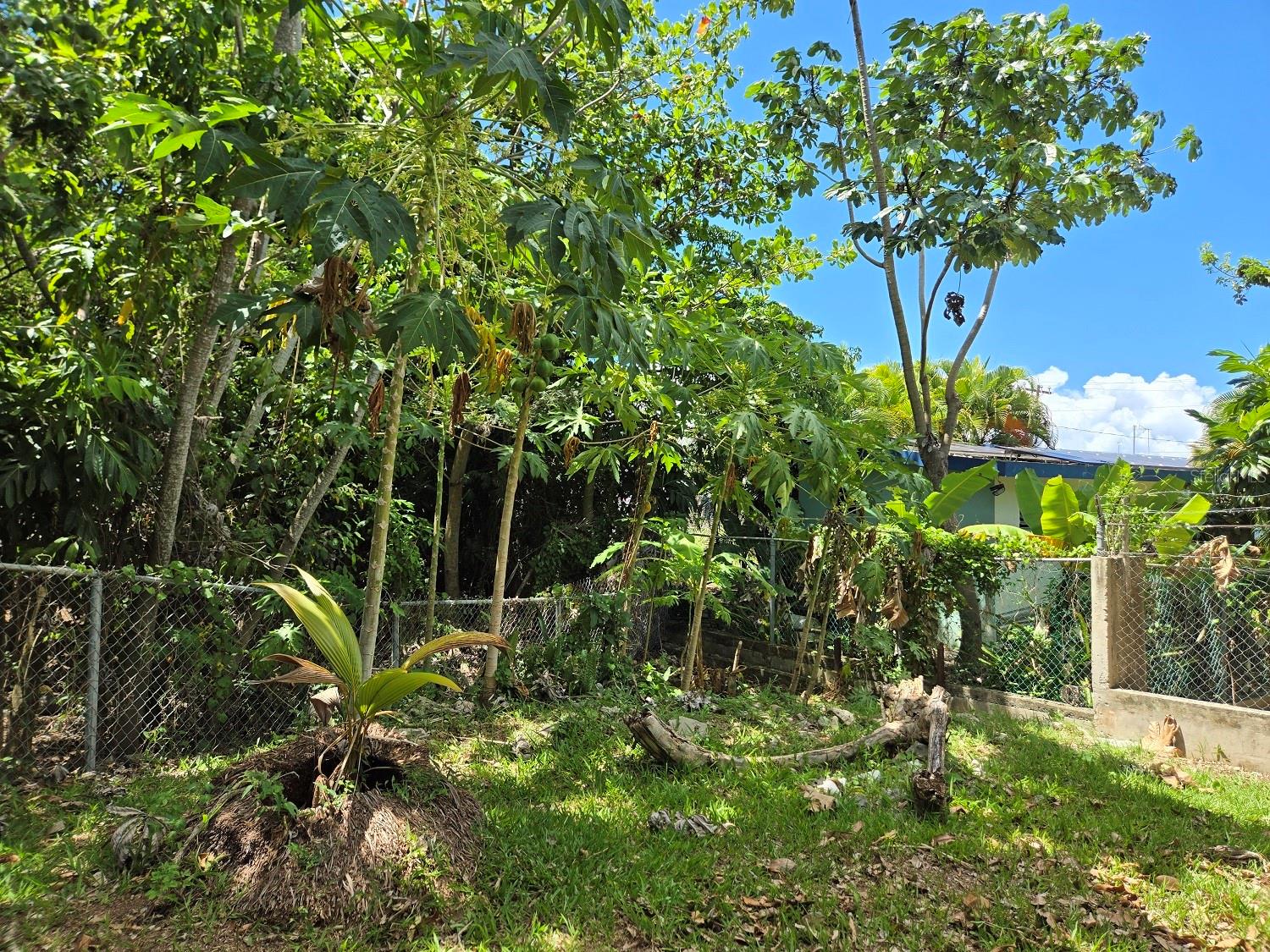 BARRIO FLORIDA - Residential