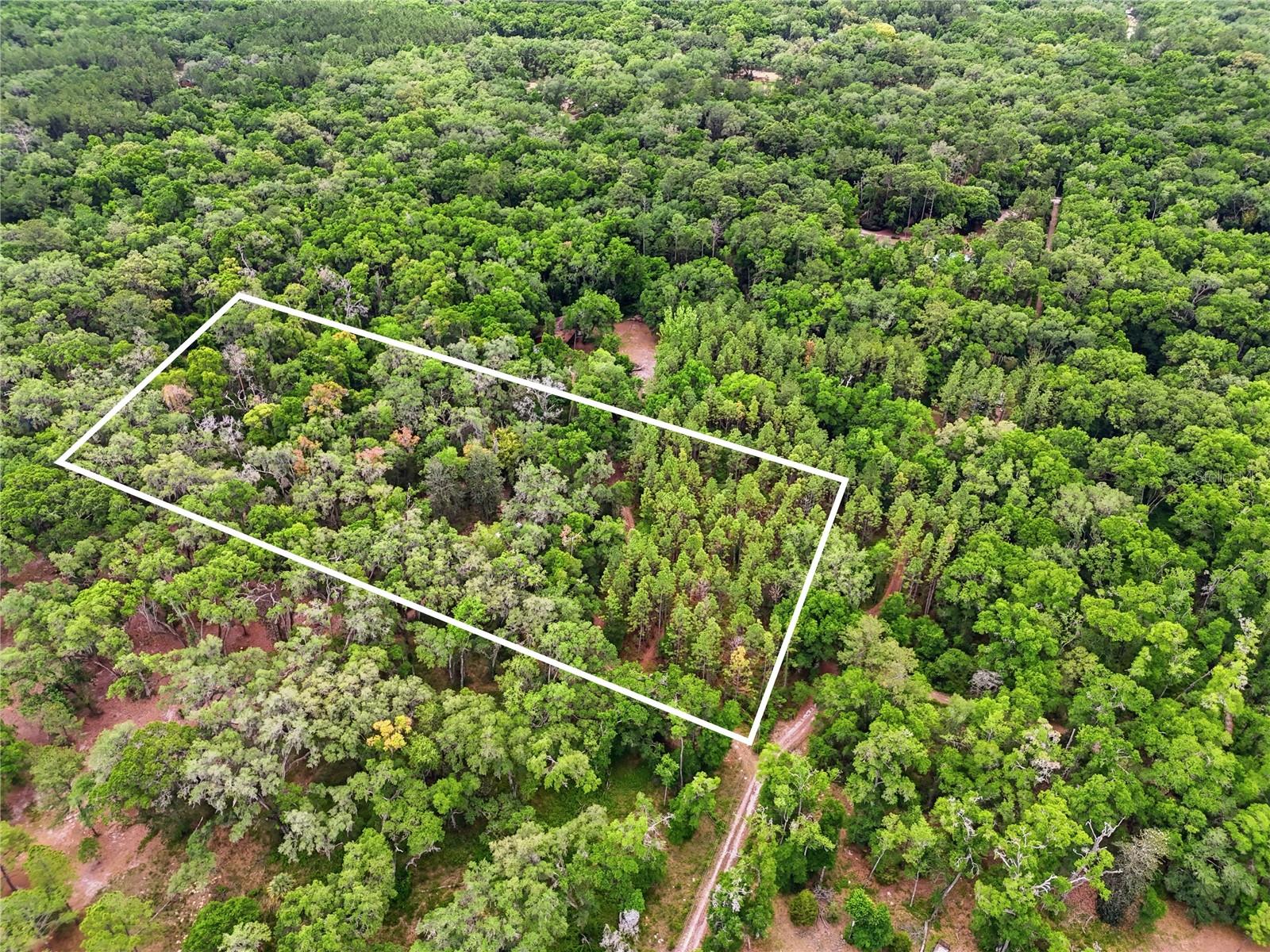Located off Parker Road, only 10 minutes from Publix and Haile Village Center, and less than 30 minutes from the University of Florida, UF Health Shands Hospital, and Celebration Pointe, this gorgeous 5 acre parcel offers a unique opportunity to be close to everything while enjoying a serene homestead with privacy and the feeling of ultimate seclusion. There are no builder restrictions on this land so you’re welcome to build your dream home with the builder of your choice! Whether you’d like to clear a couple acres for pasture, plant a garden, or fence in a portion for animals, with NO HOA, the possibilities are endless on this picturesque wooded lot, featuring mature oak trees and pines. Electricity is available with Clay Electric. A soil report is also available. Access to the property is through a deeded easement. An adjoining 5 acre lot is also available, listed under MLS GC539544 with Parcel Number 04608-004-000, offering a combined total of 10 acres for purchase!