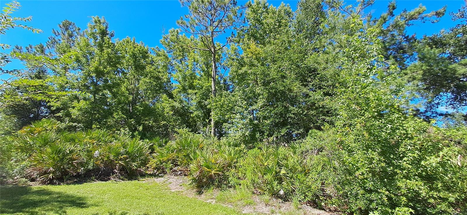 PALM COAST SEC 24 - Residential