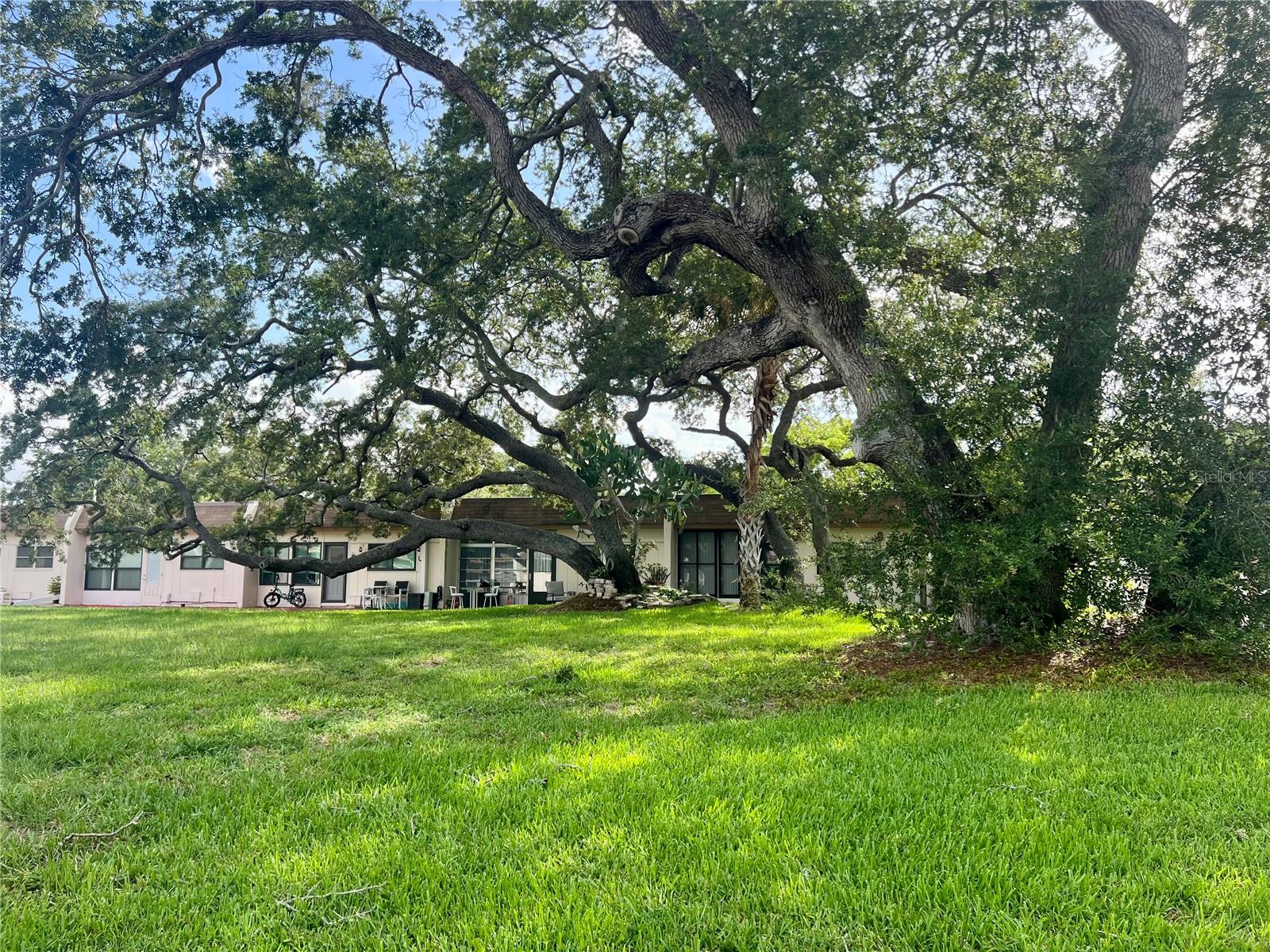 MISSION HILLS CONDO - Residential