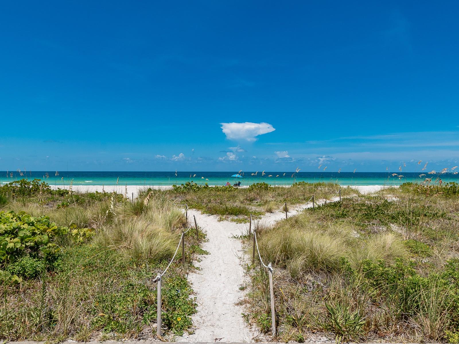 SAND KEY CONDO-SOUTH BEACH - Residential Lease