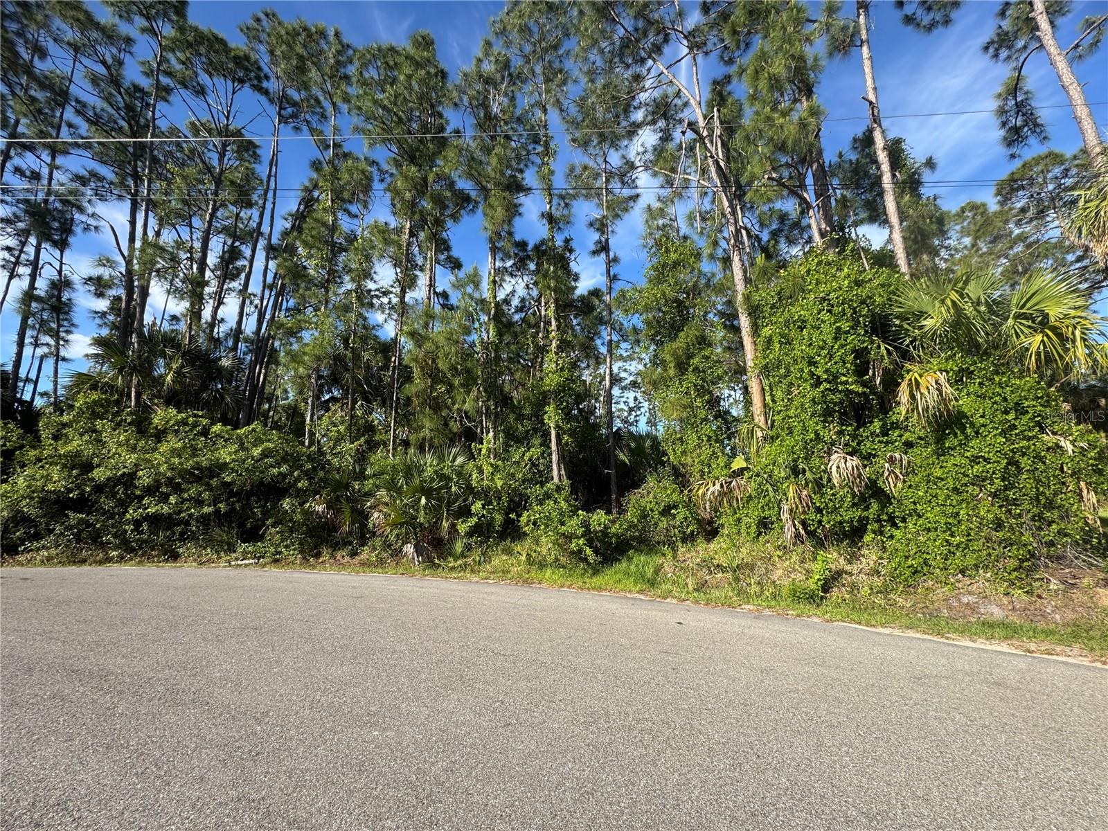 PORT CHARLOTTE SUB 09 - Land